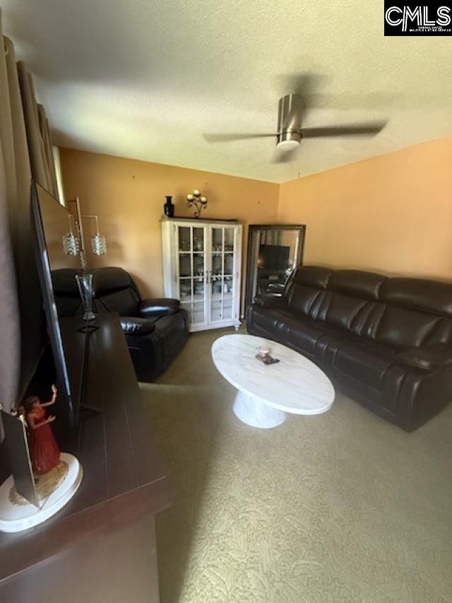 101 Sunglow Court Columbia, SC 29223