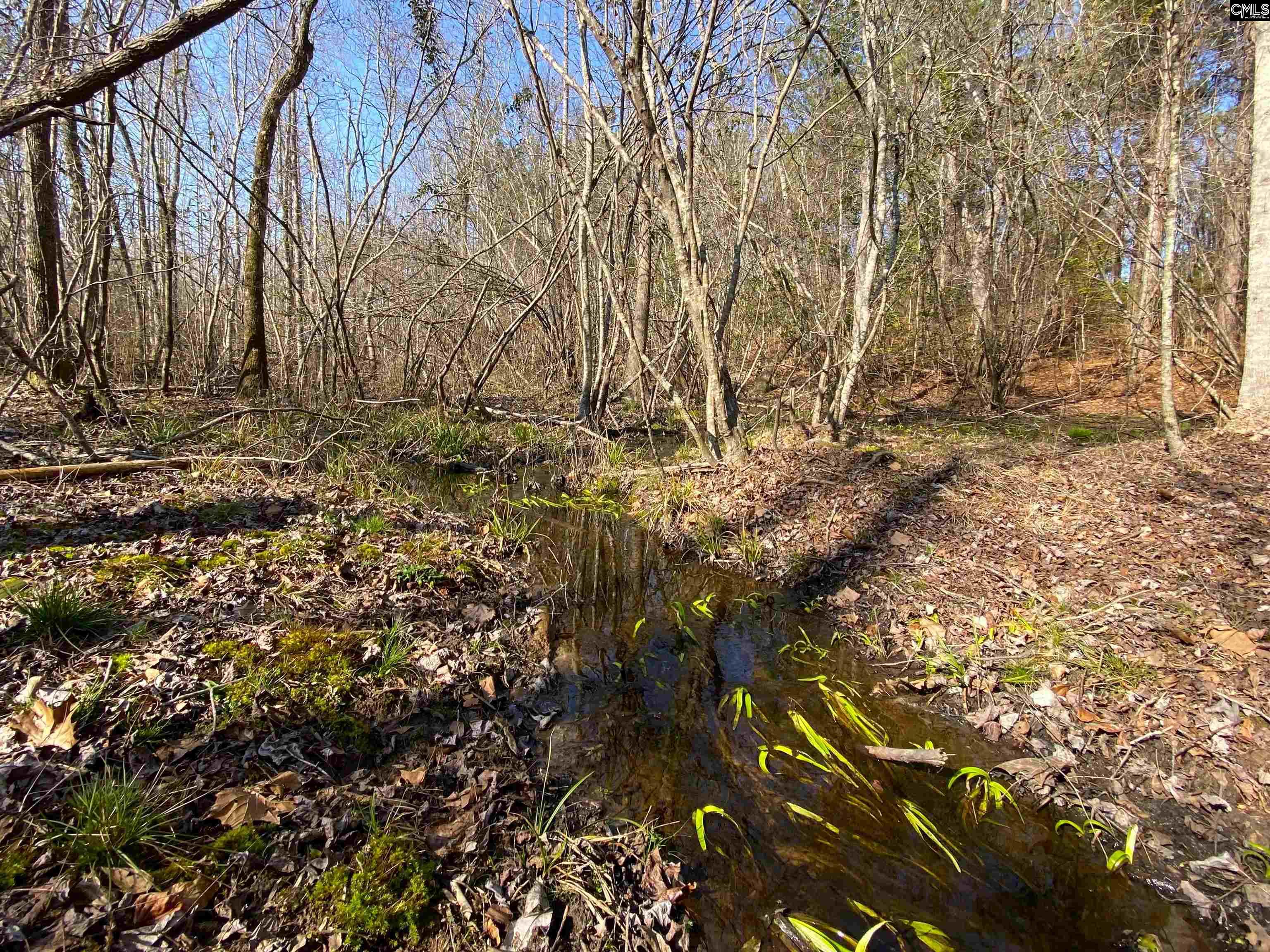TBD 1 Juniper Road, Barnwell, South Carolina image 7