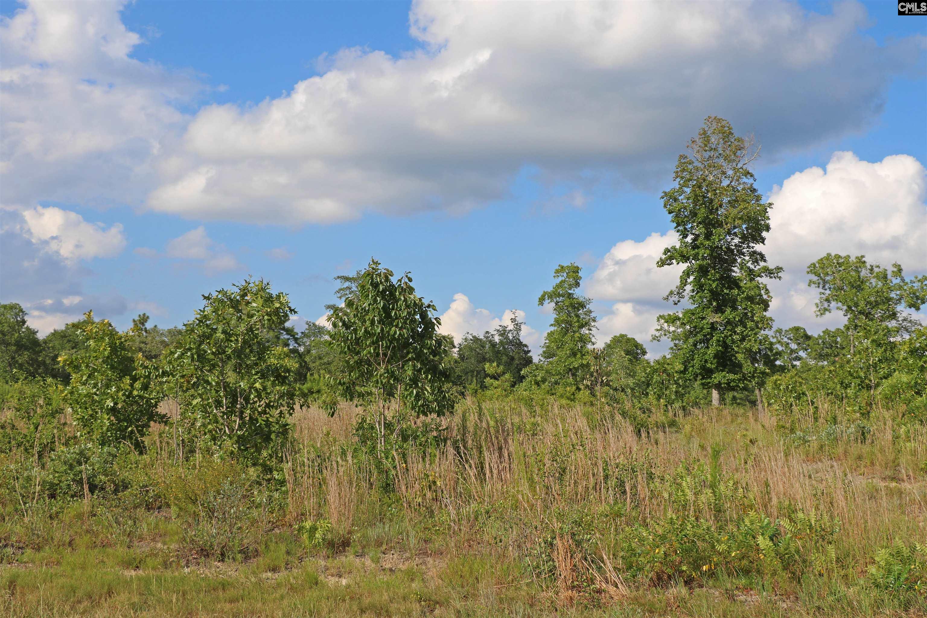 TBD Seivern Road, Wagener, South Carolina image 1