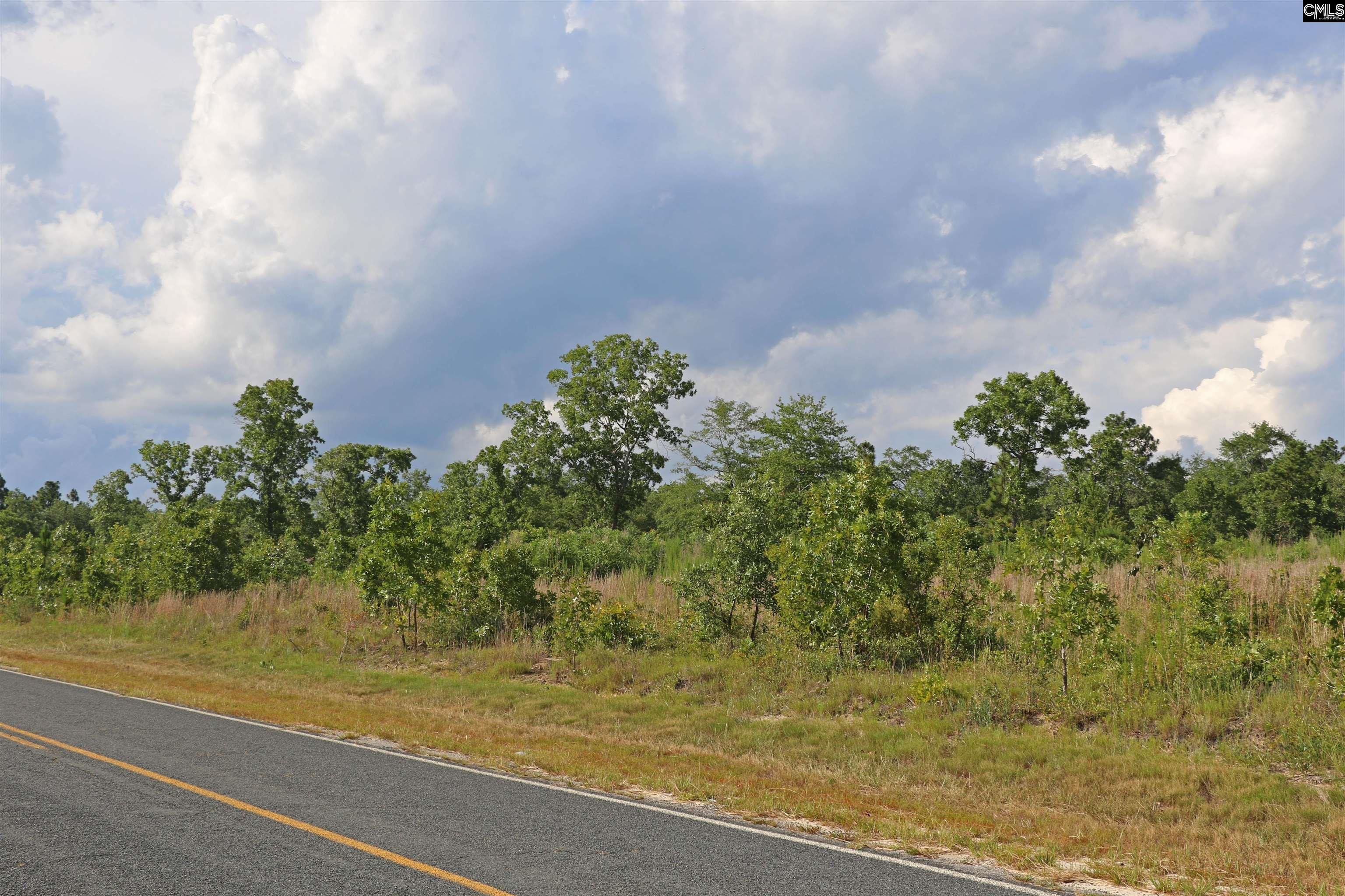 TBD Seivern Road, Wagener, South Carolina image 2