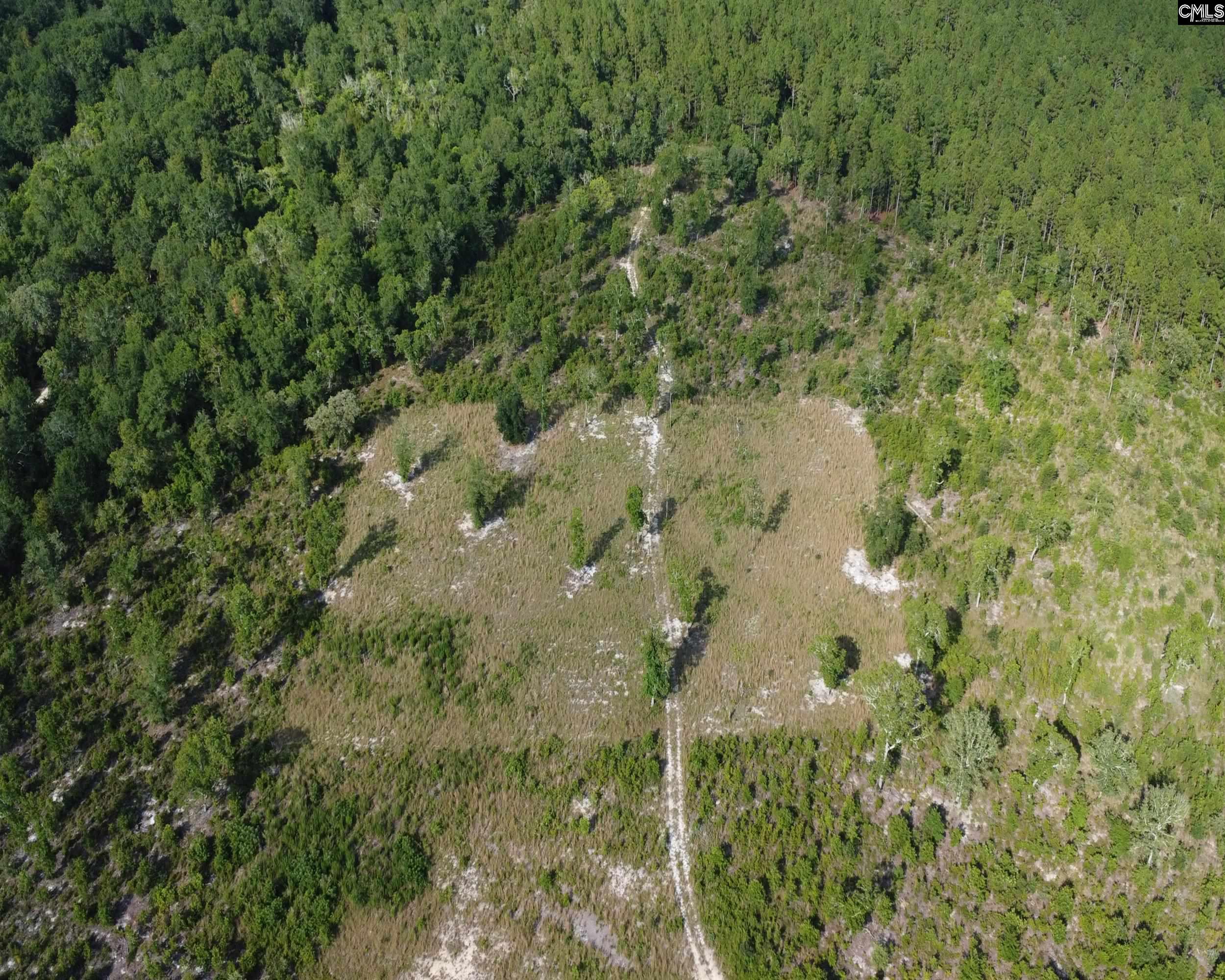 TBD Seivern Road, Wagener, South Carolina image 12
