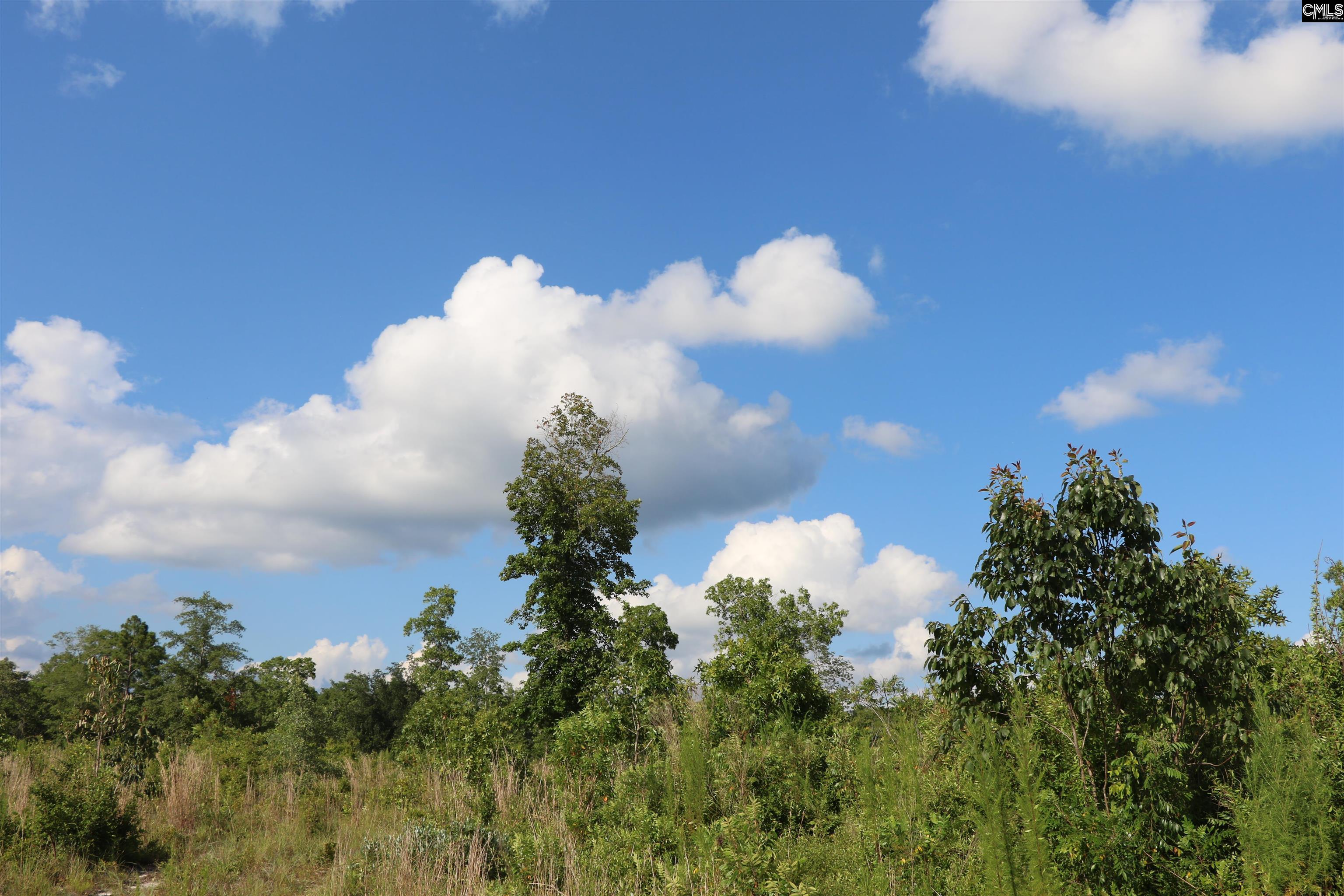 TBD Seivern Road, Wagener, South Carolina image 14
