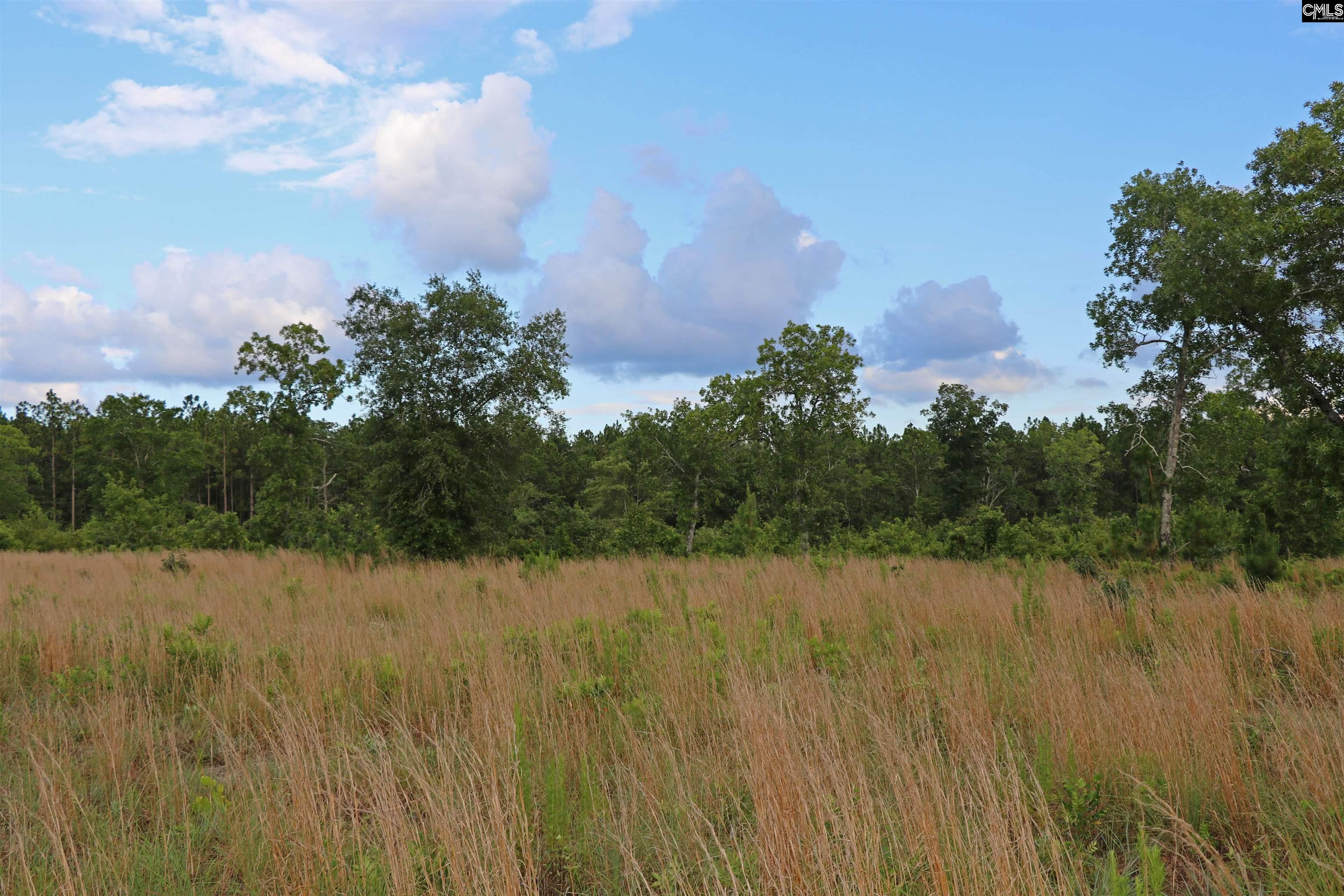 TBD Seivern Road, Wagener, South Carolina image 15