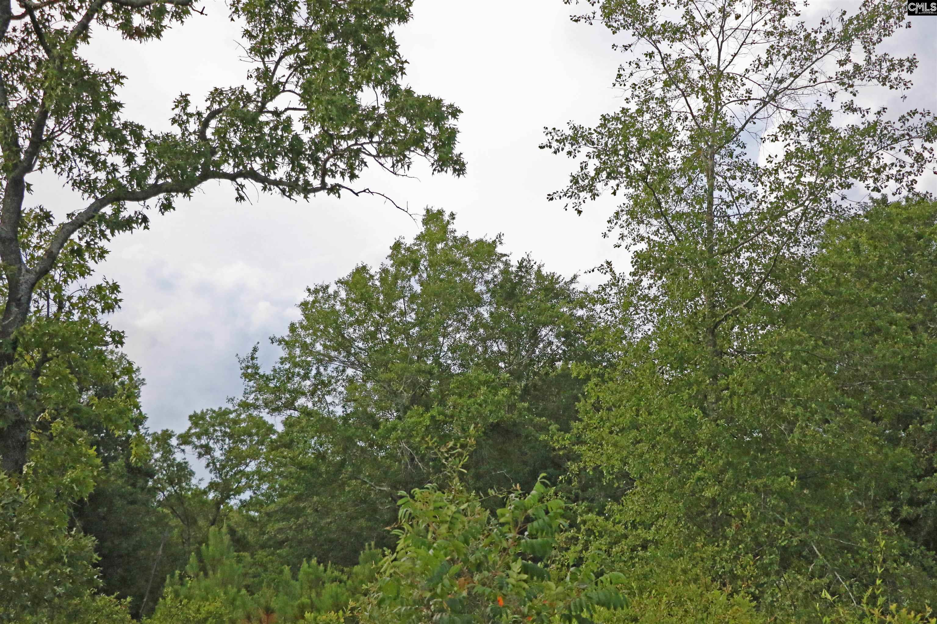 TBD Seivern Road, Wagener, South Carolina image 16