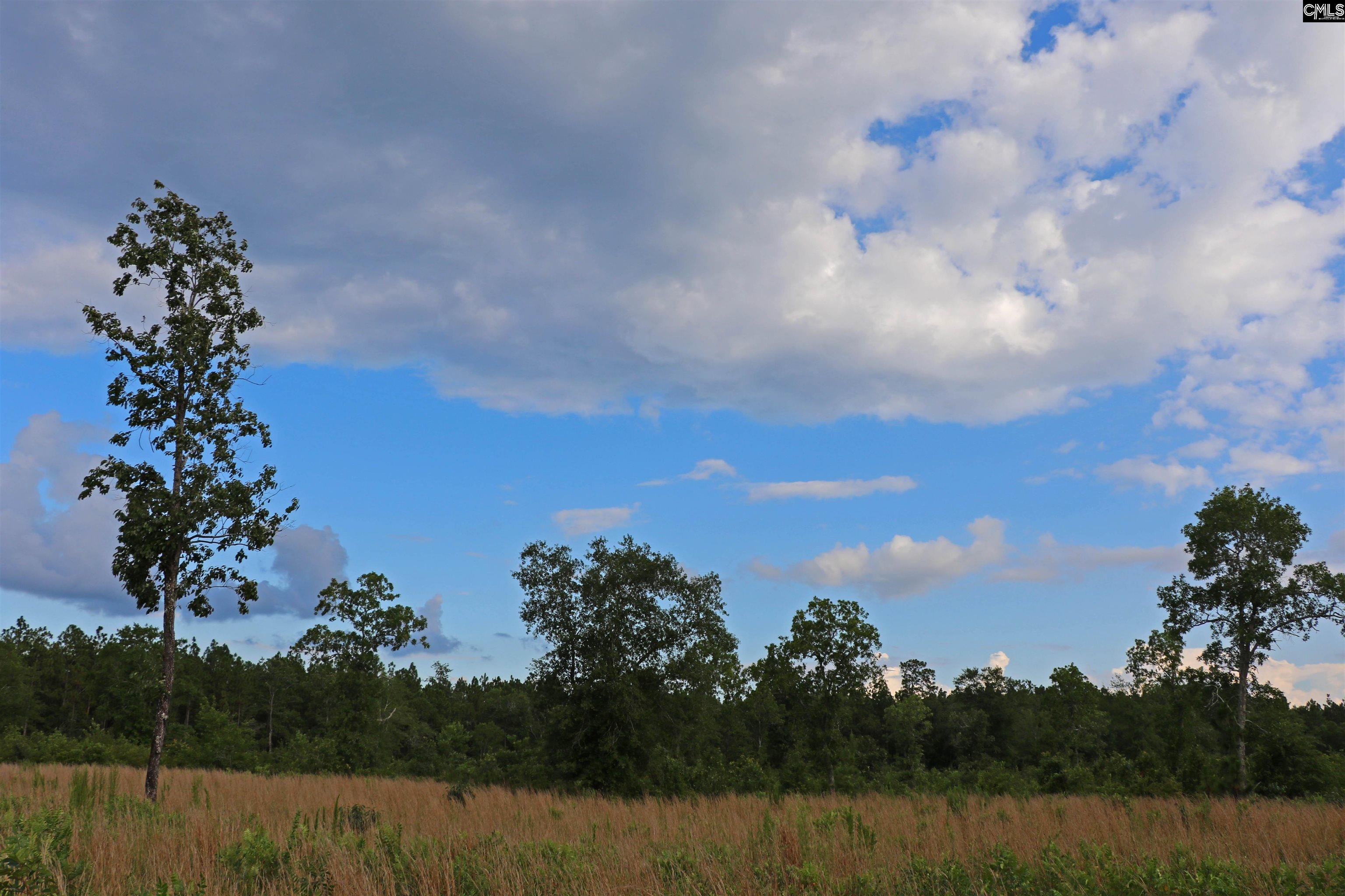 TBD Seivern Road, Wagener, South Carolina image 17