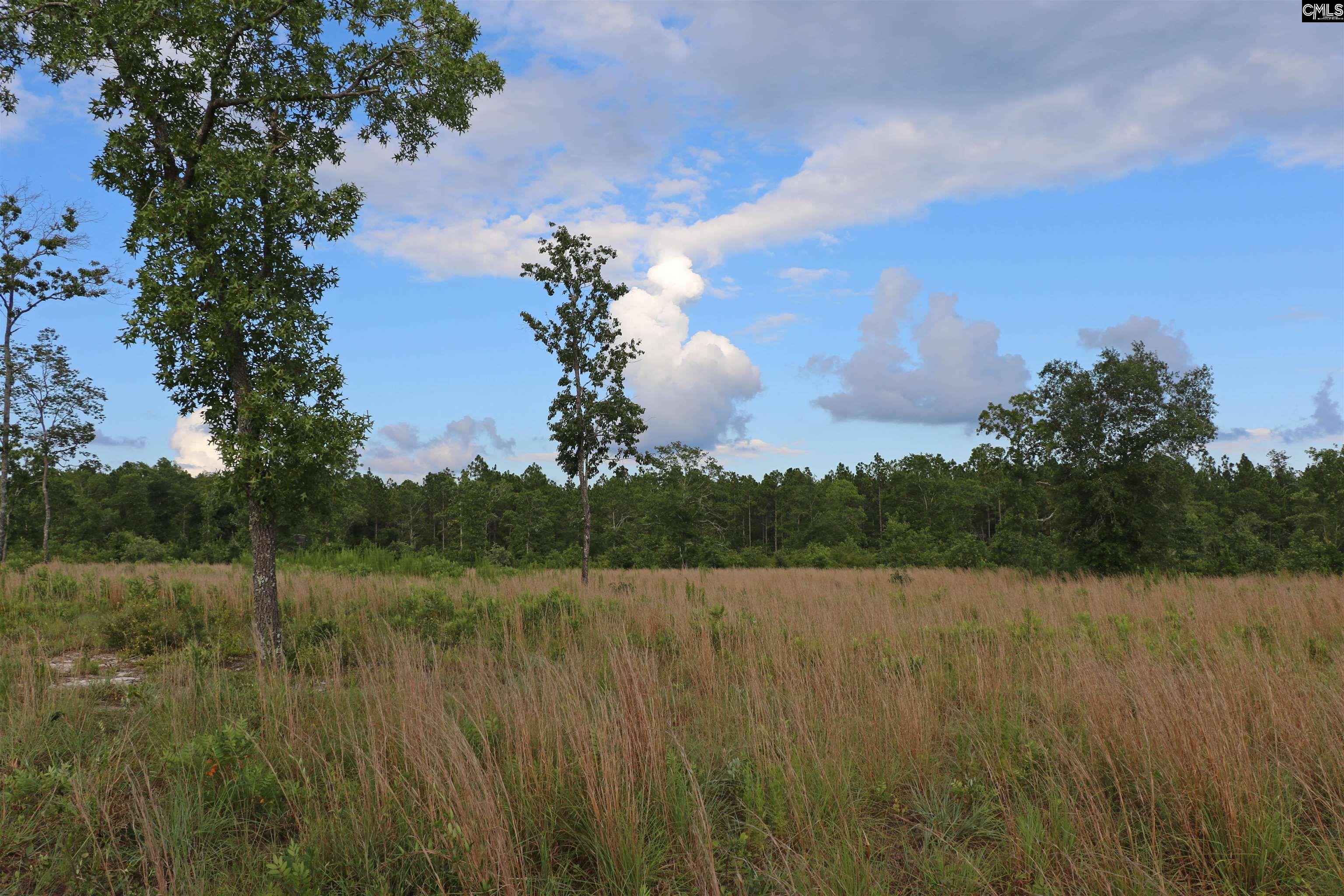 TBD Seivern Road, Wagener, South Carolina image 3