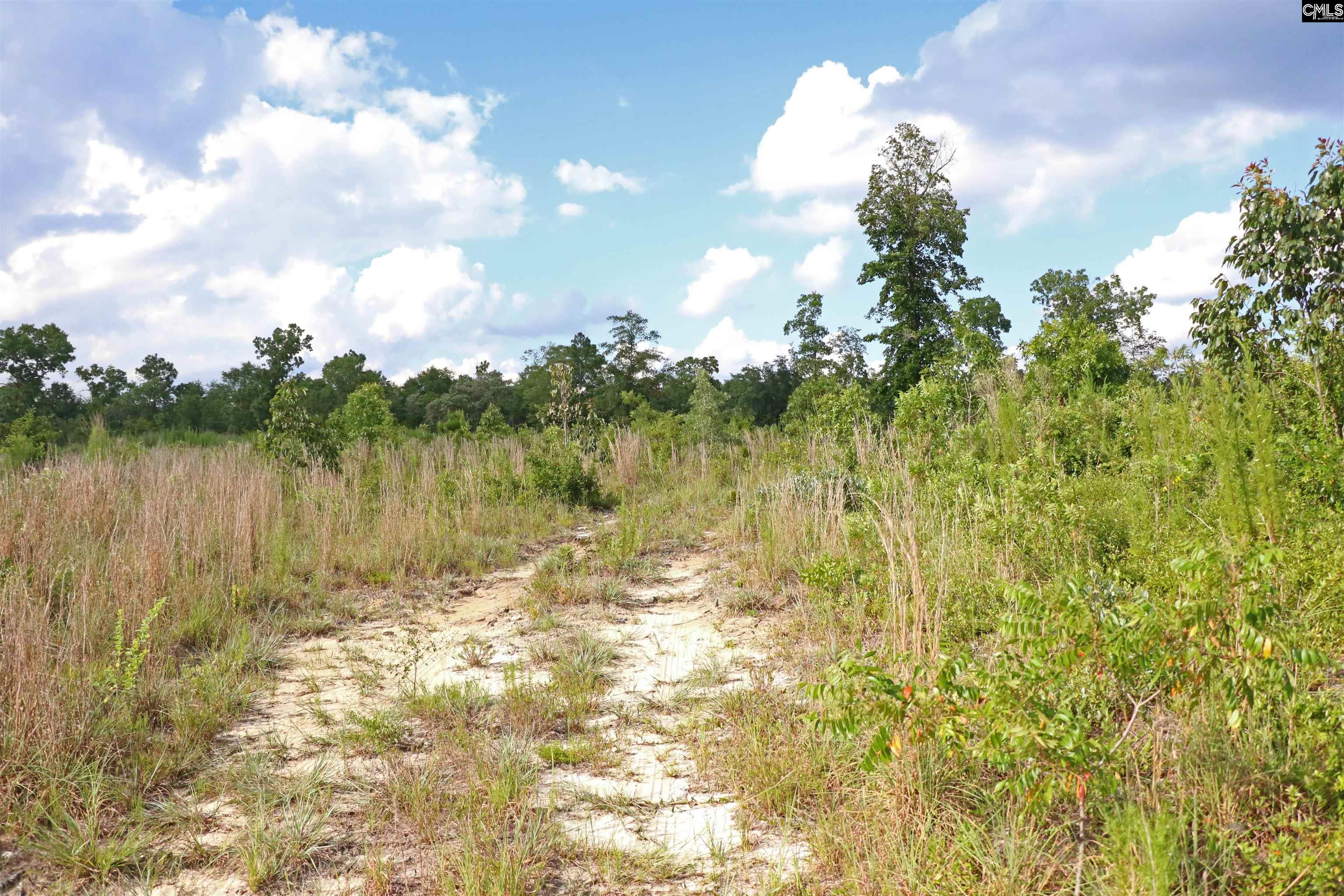 TBD Seivern Road, Wagener, South Carolina image 4