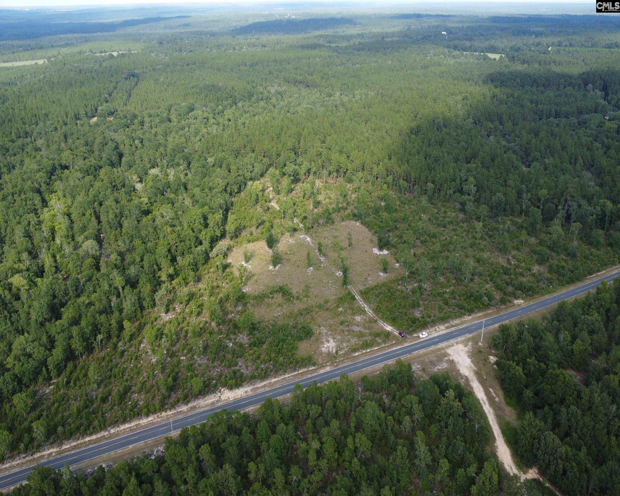 TBD Seivern Road, Wagener, South Carolina image 6