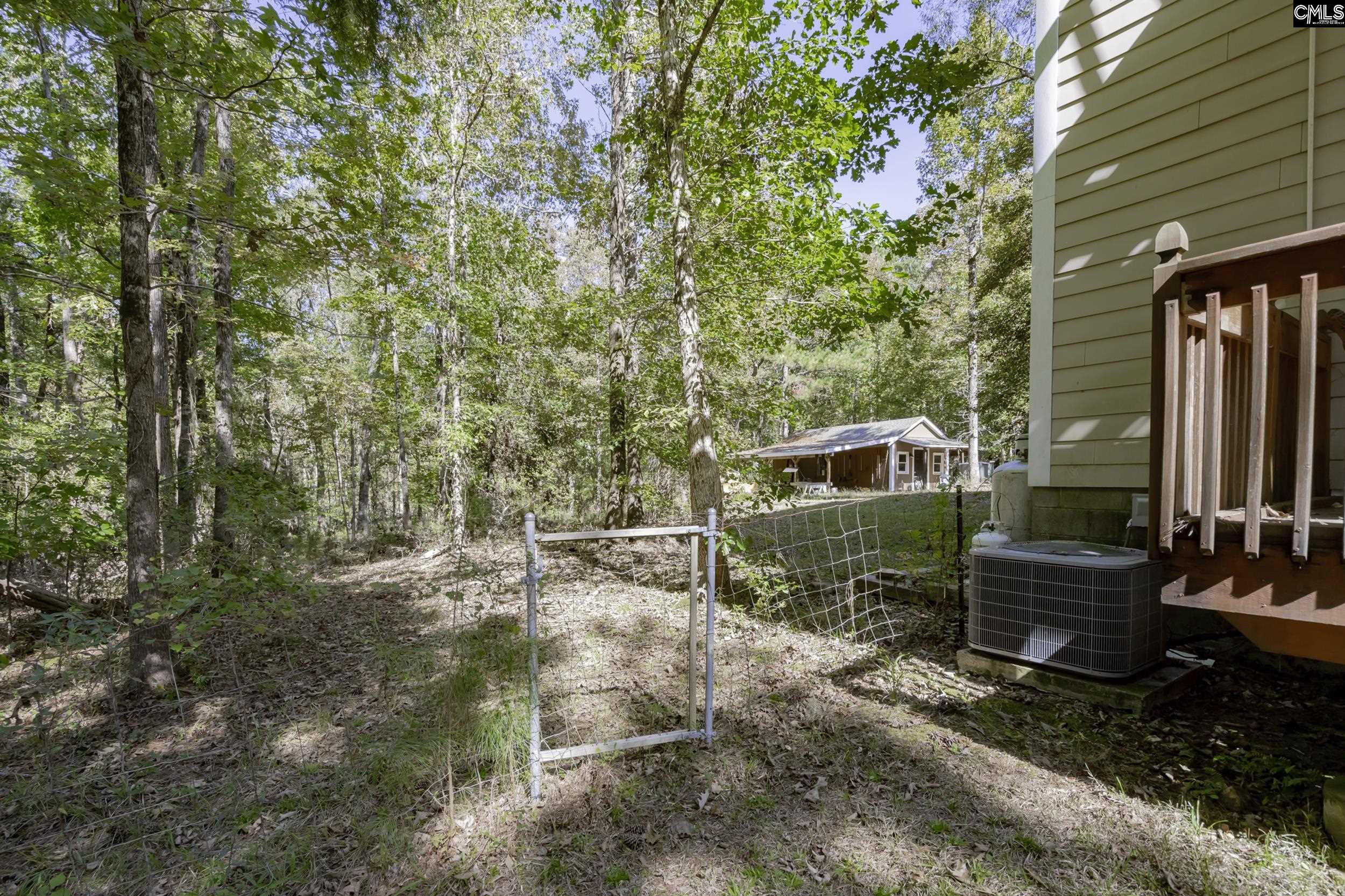 2033 Old Hilton Road, Chapin, South Carolina image 16