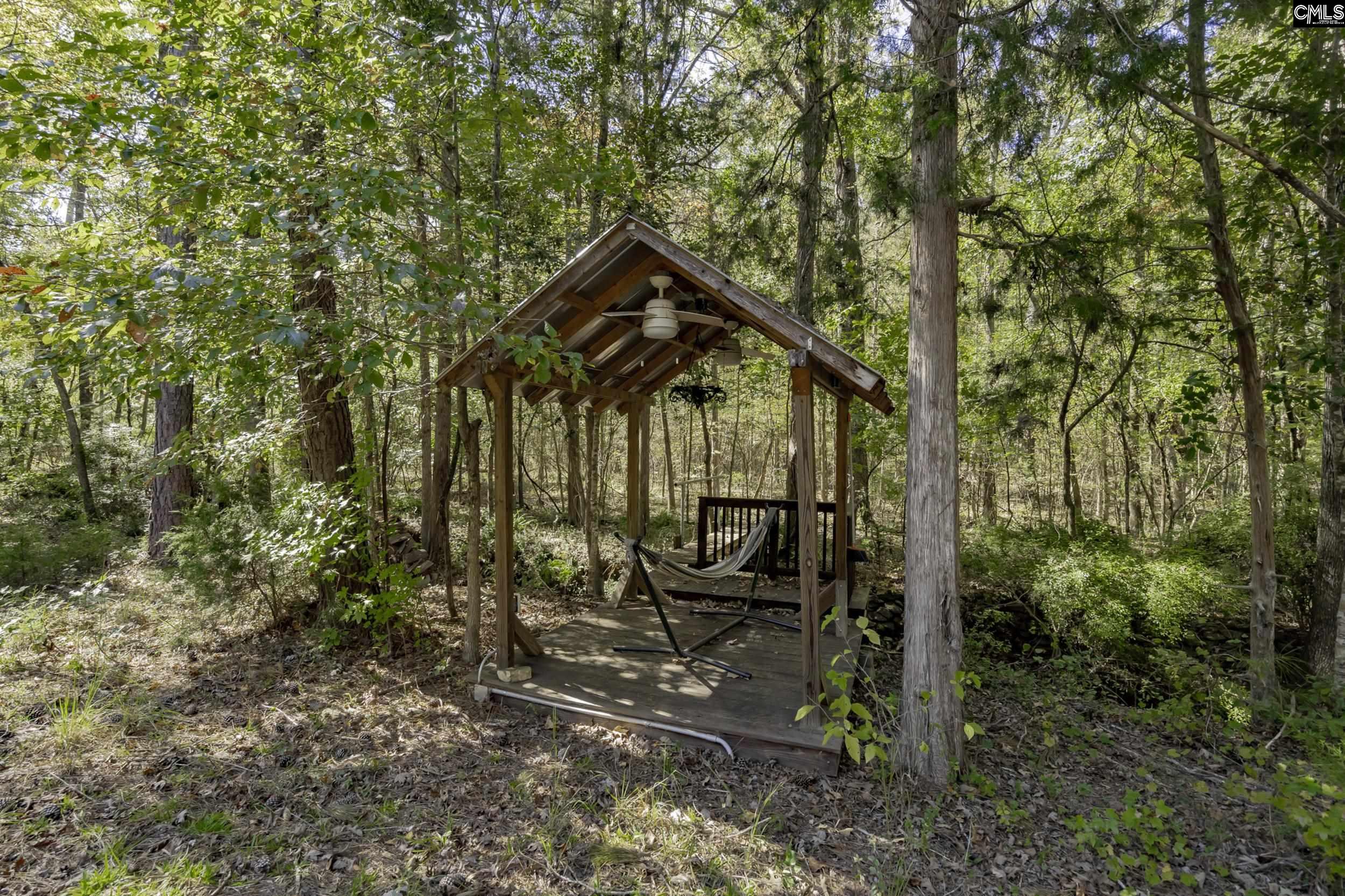 2033 Old Hilton Road, Chapin, South Carolina image 39