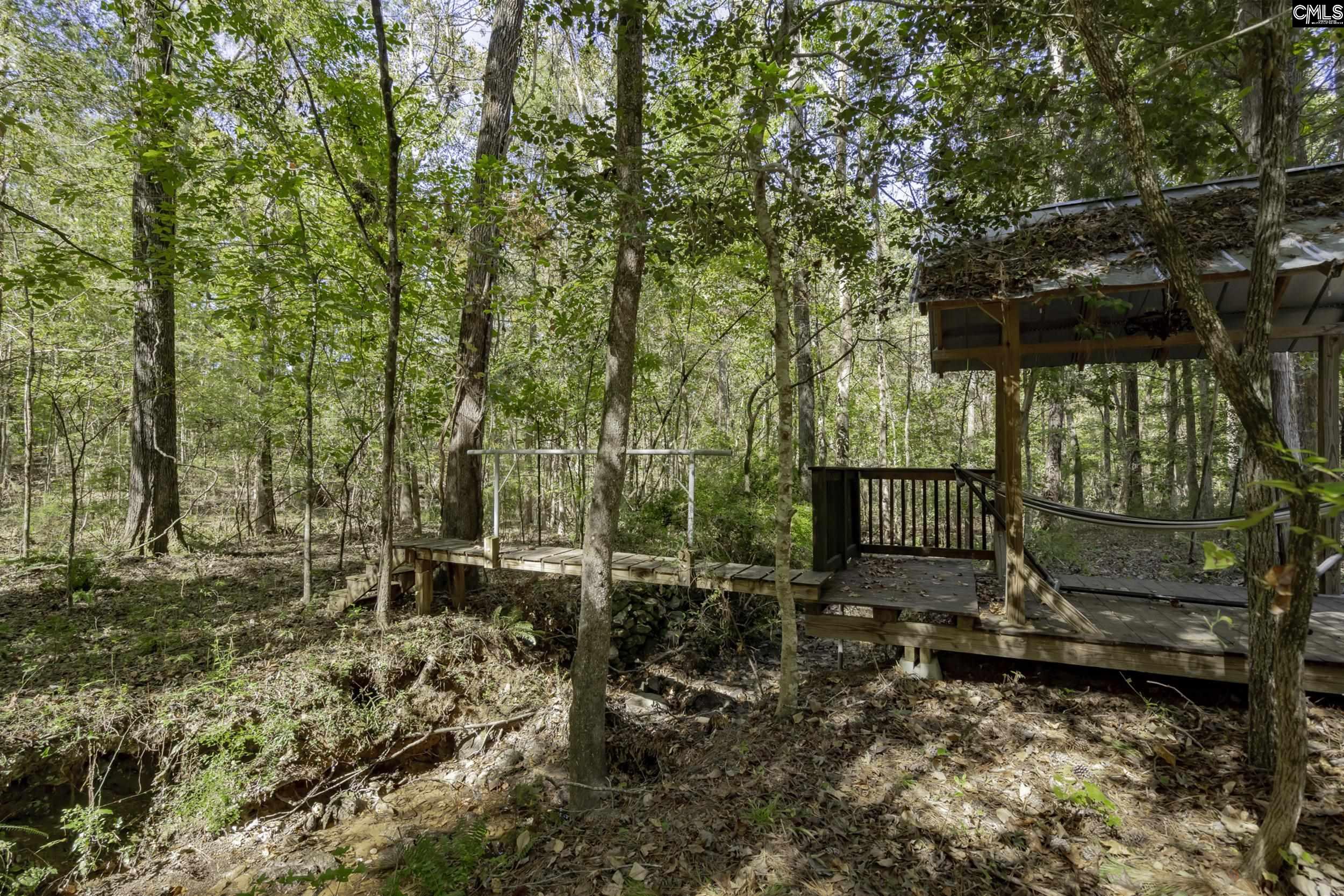2033 Old Hilton Road, Chapin, South Carolina image 40