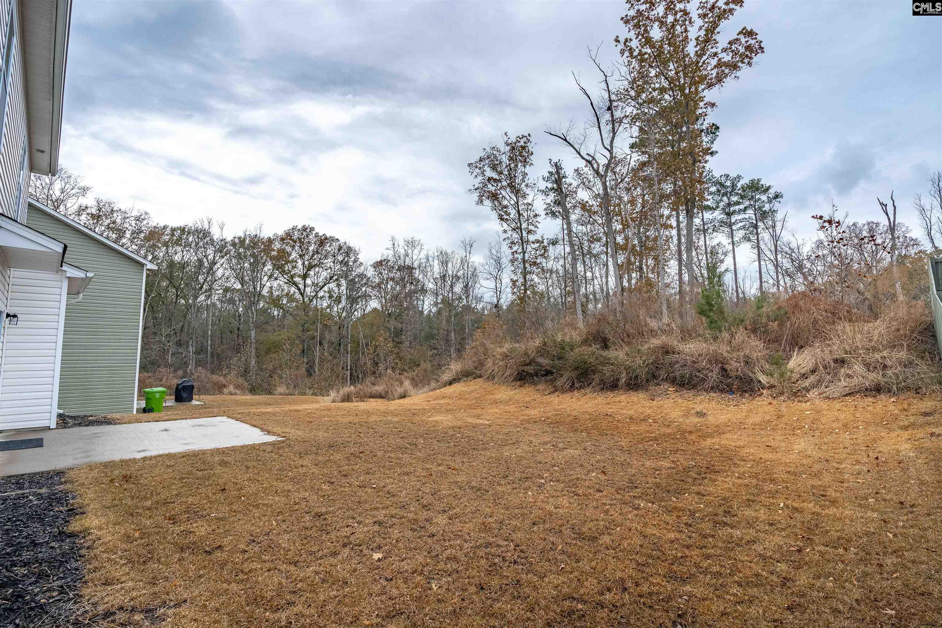 642 Roseridge Drive, Blythewood, South Carolina image 29