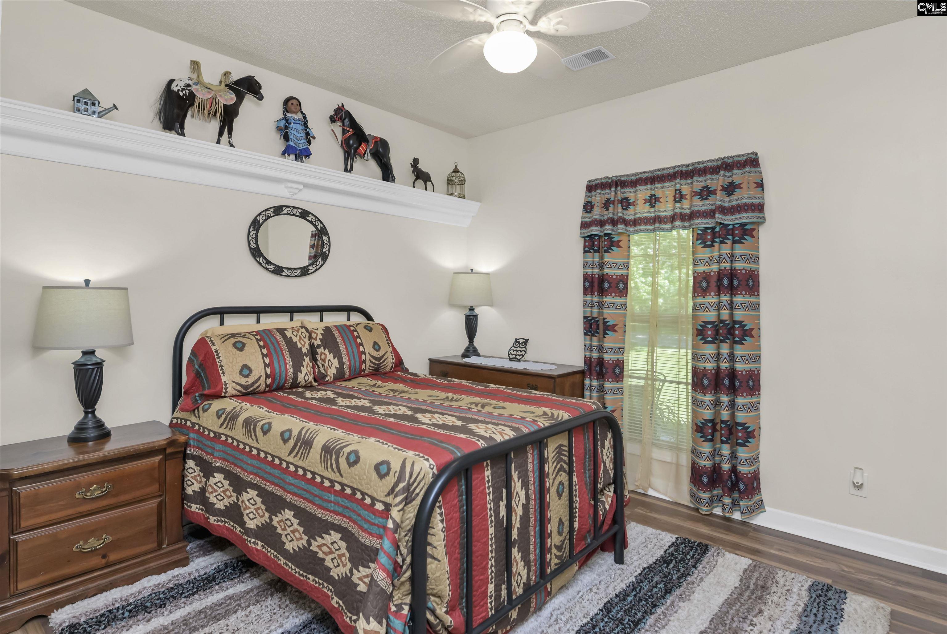 366 Gallery Cliff Drive, Chapin, South Carolina image 18
