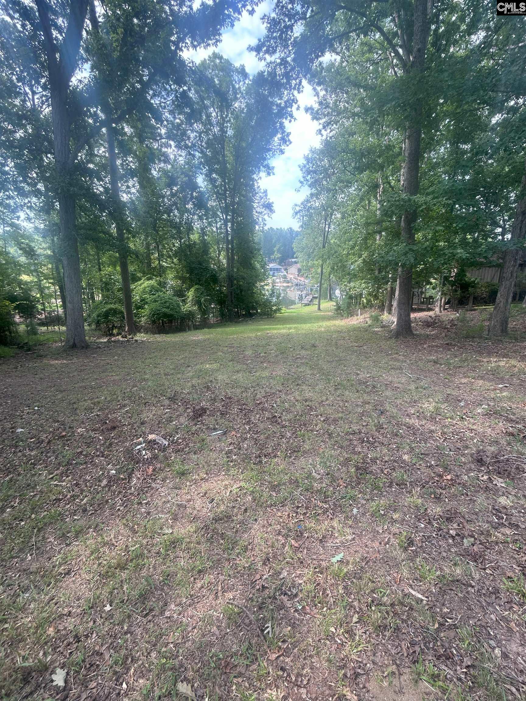 126 Rocky Pointe Road, Prosperity, South Carolina image 12