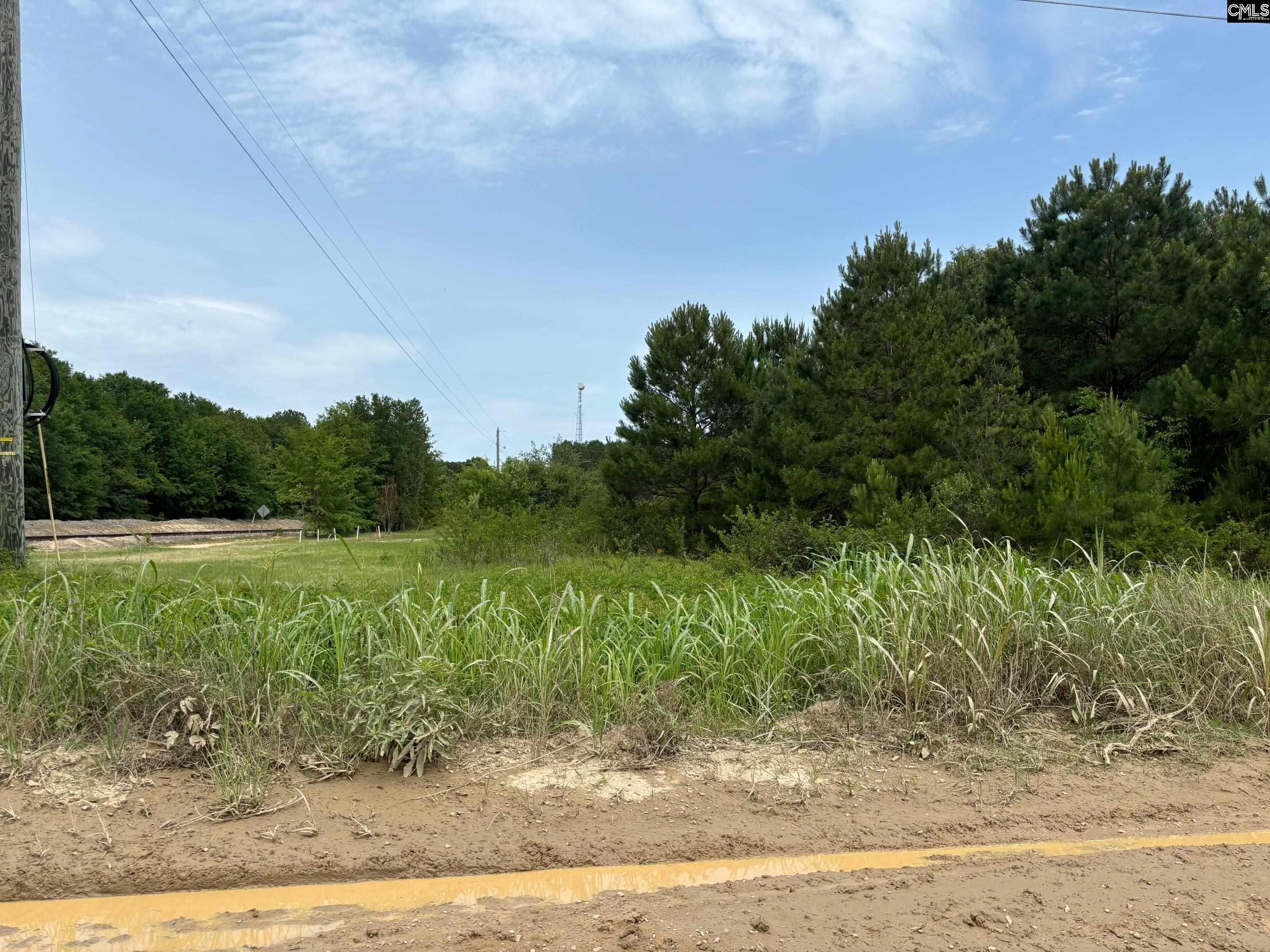 565 Fredonia, Leesville, South Carolina image 1