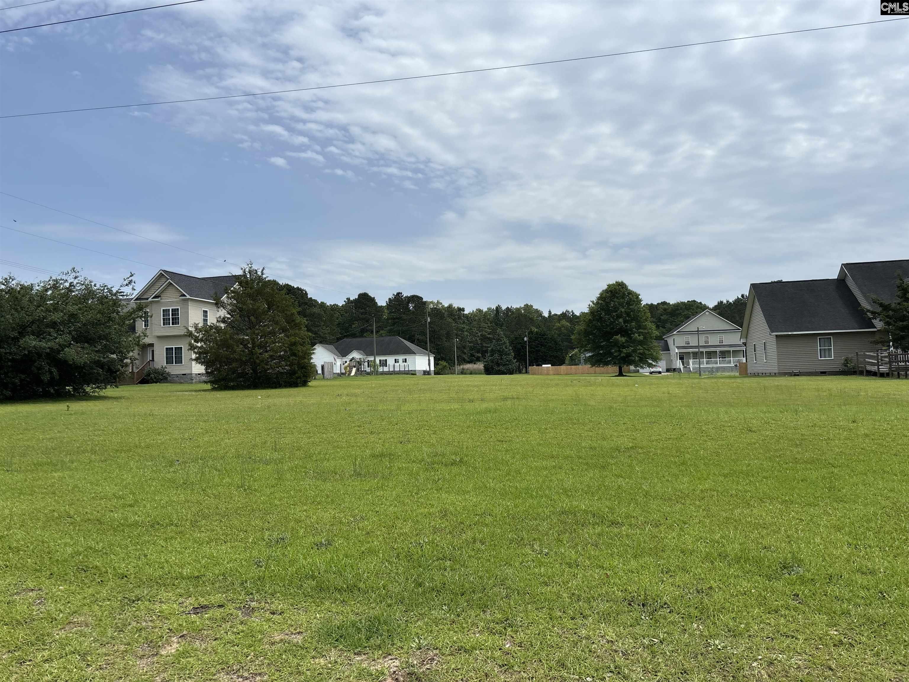 553 Fredonia Road, Leesville, South Carolina image 1