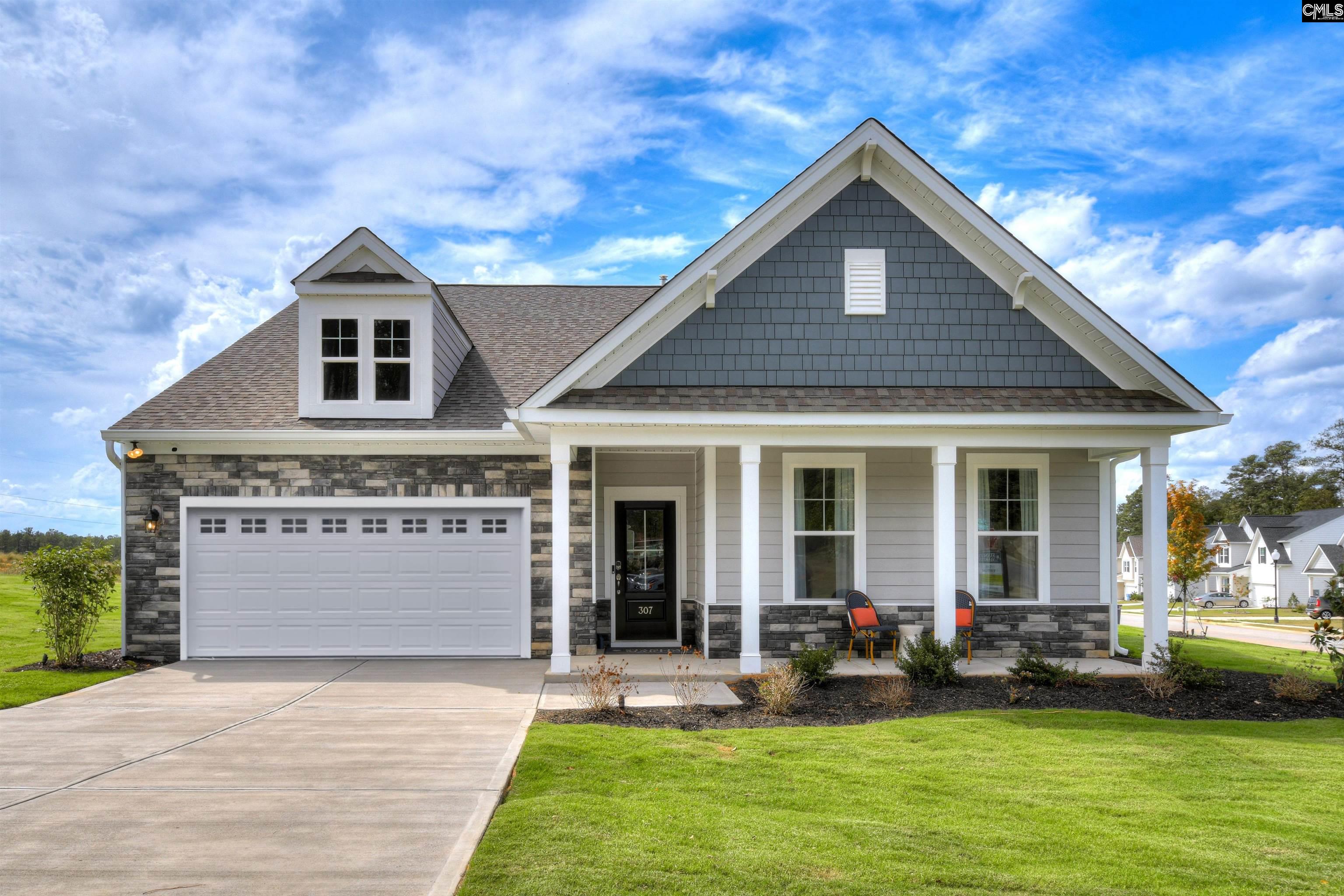 326 Chapin Place Way, Chapin, South Carolina image 1