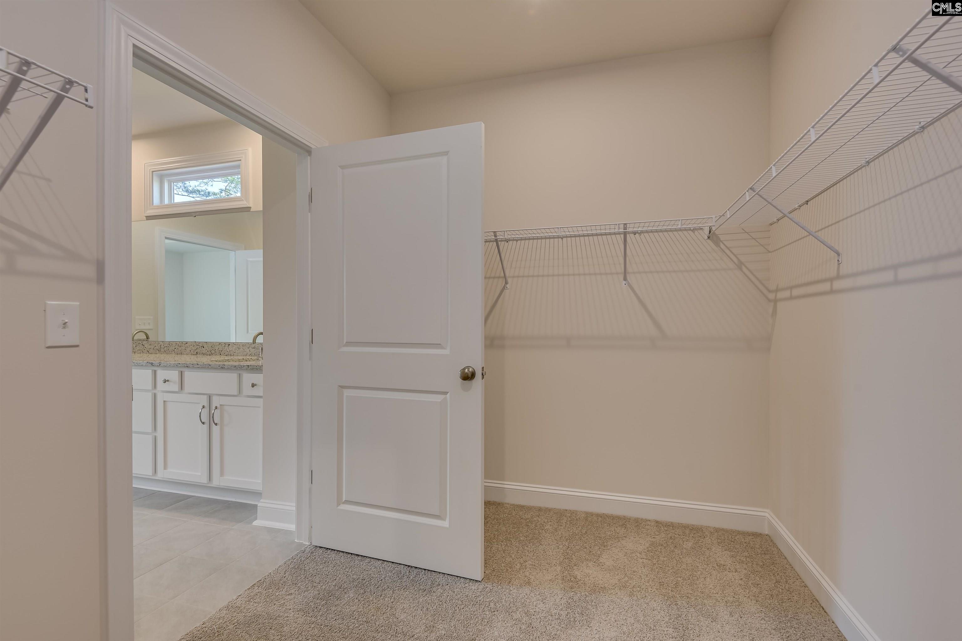 326 Chapin Place Way, Chapin, South Carolina image 20