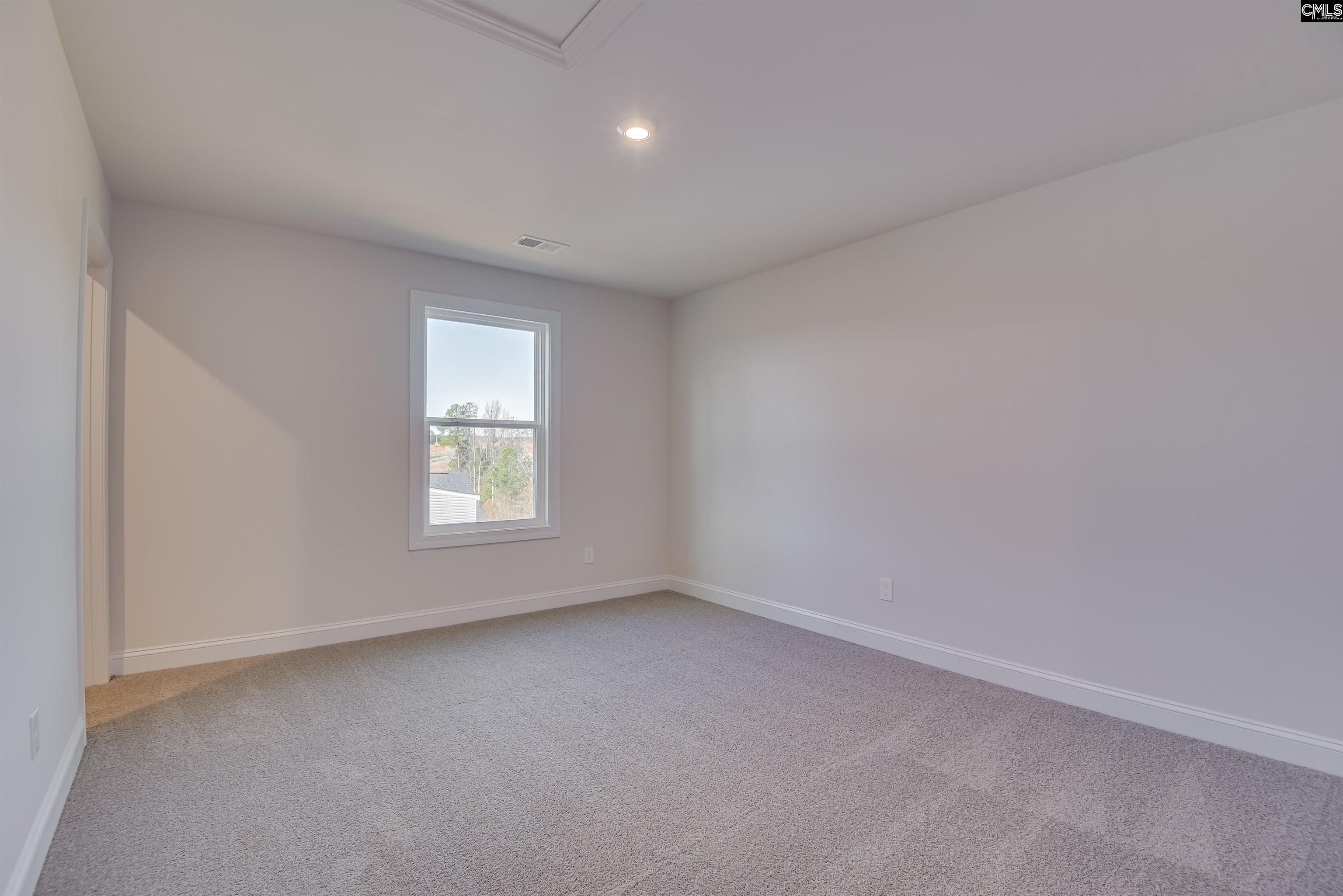 326 Chapin Place Way, Chapin, South Carolina image 27