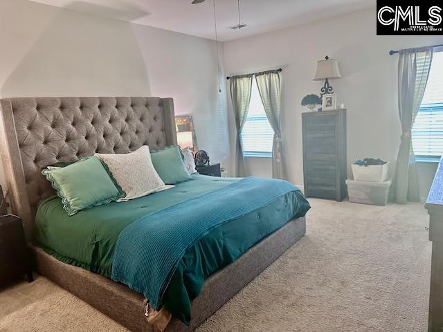212 Timber Wood Drive Chapin, SC 29036