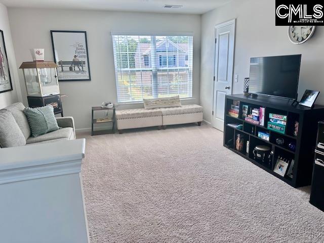 212 Timber Wood Drive Chapin, SC 29036