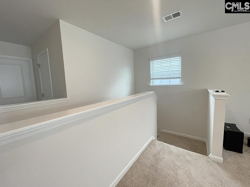 212 Timber Wood Drive Chapin, SC 29036