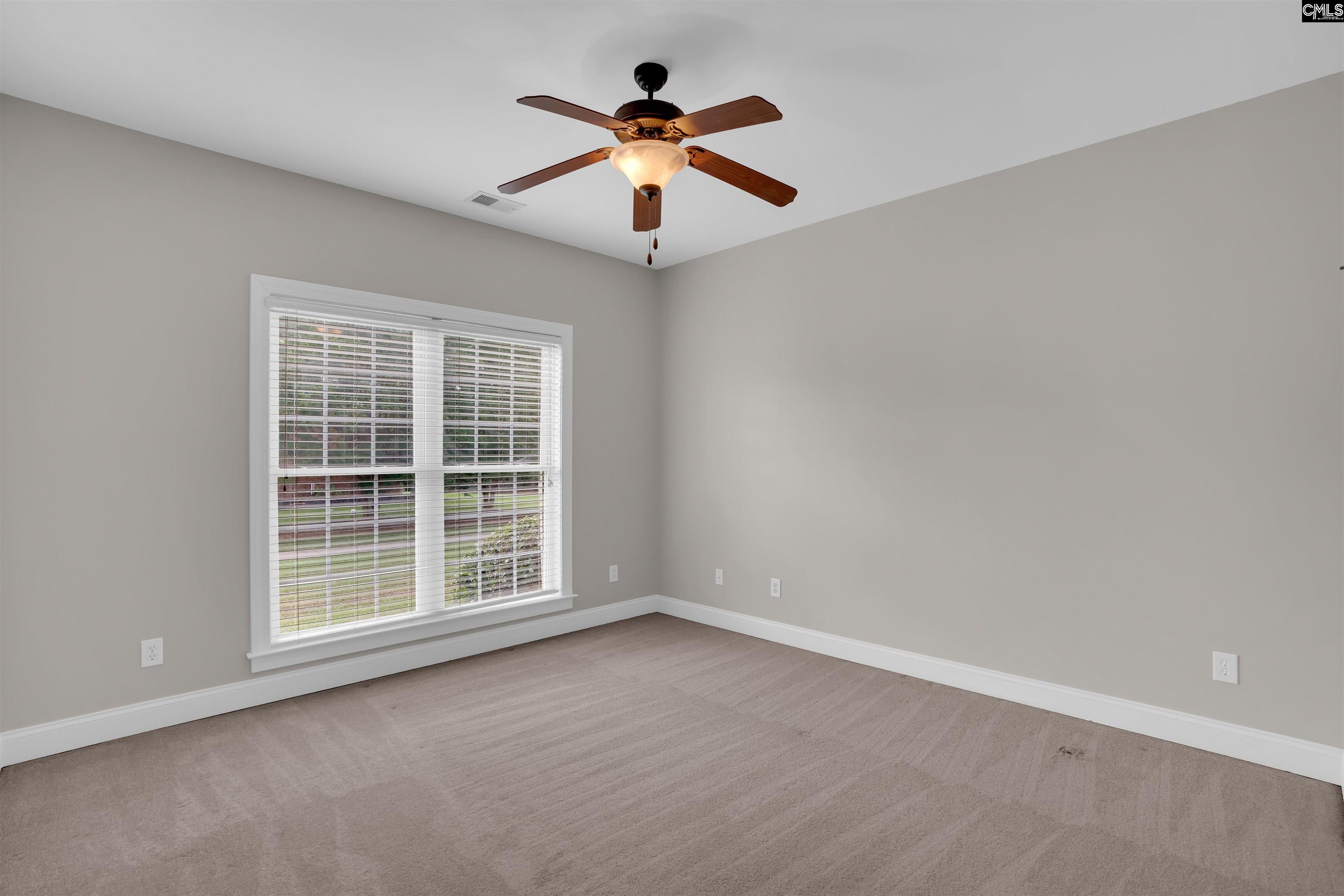 206 Lake Hilton Drive, Chapin, South Carolina image 32