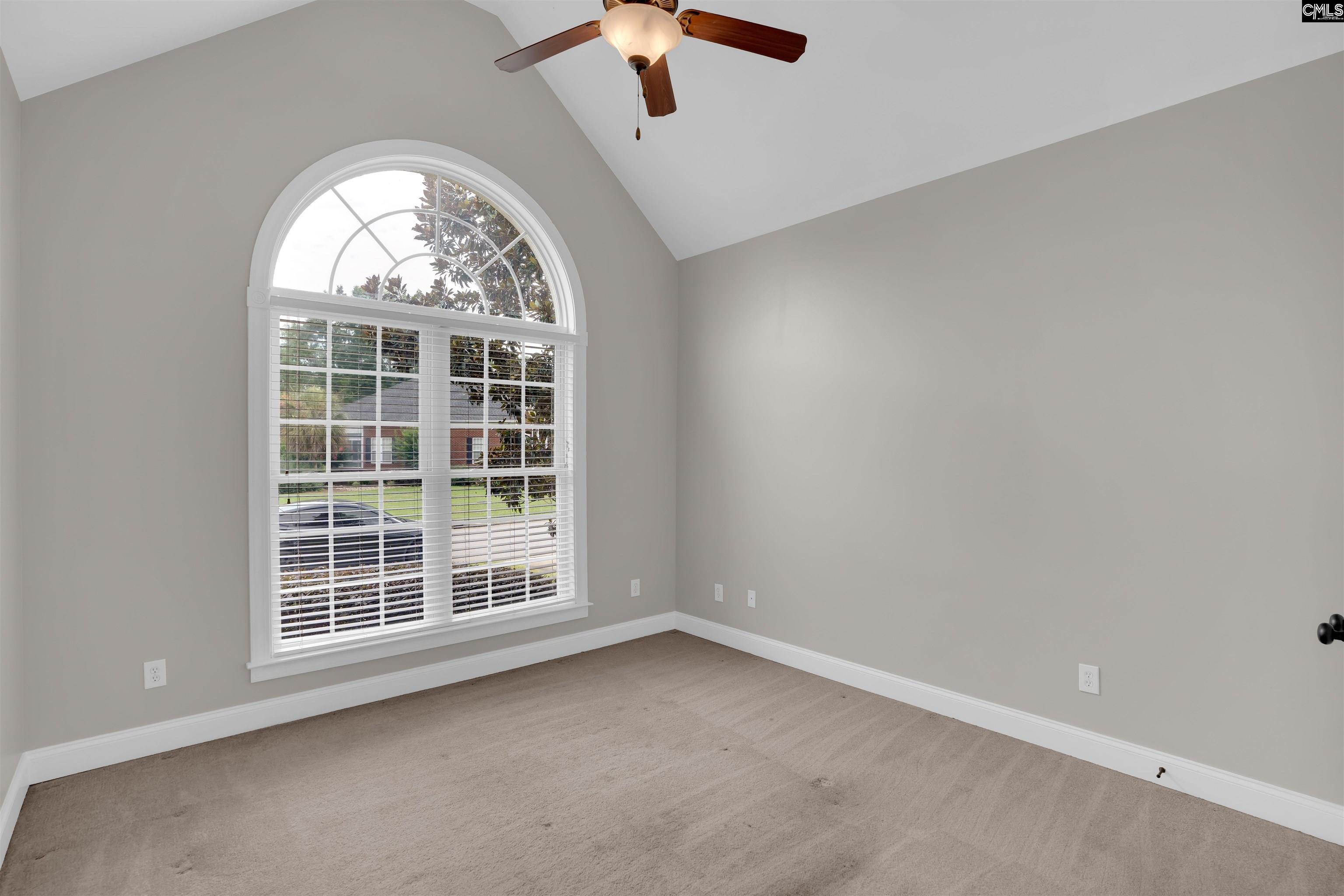 206 Lake Hilton Drive, Chapin, South Carolina image 35