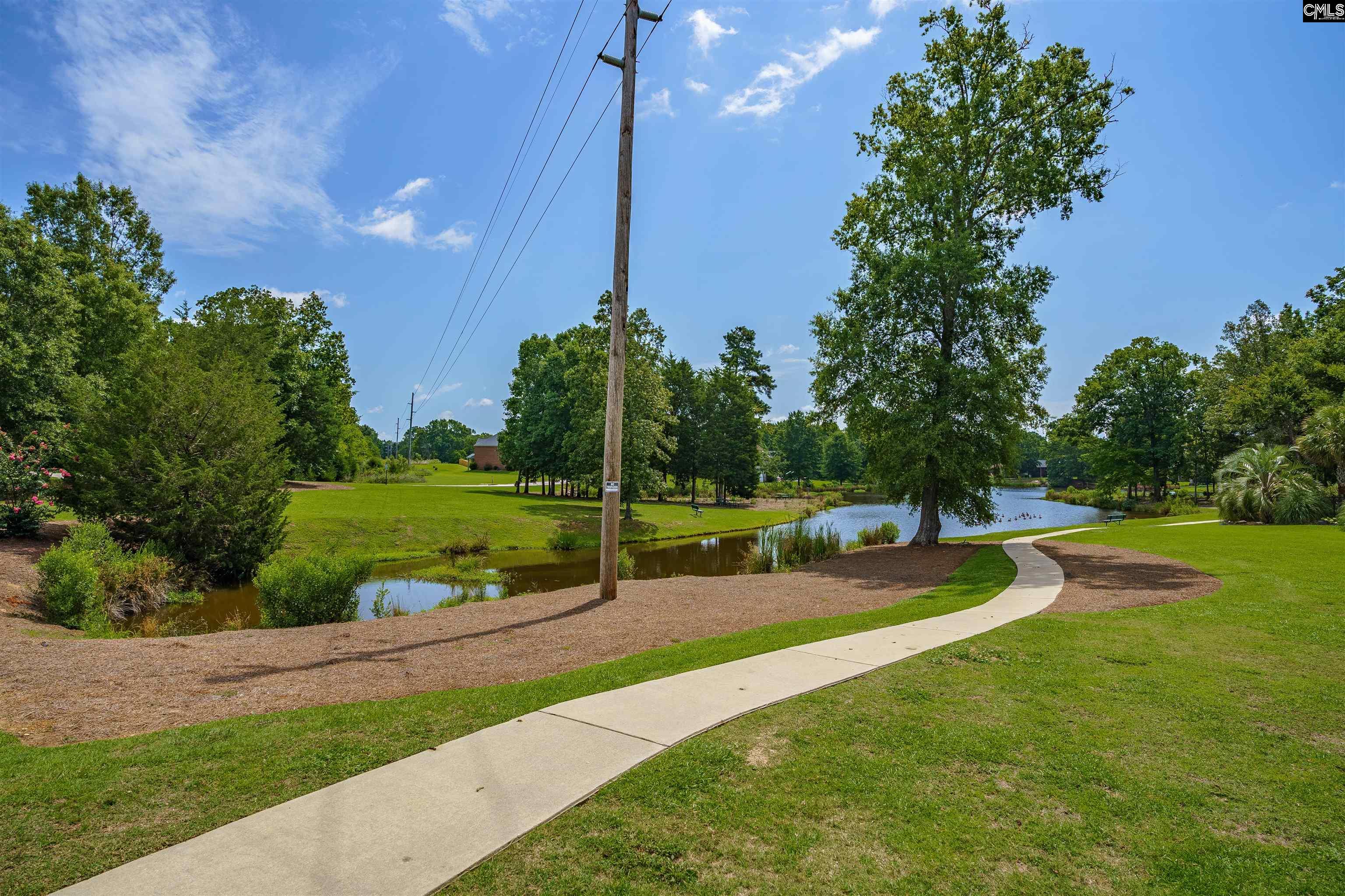 206 Lake Hilton Drive, Chapin, South Carolina image 47