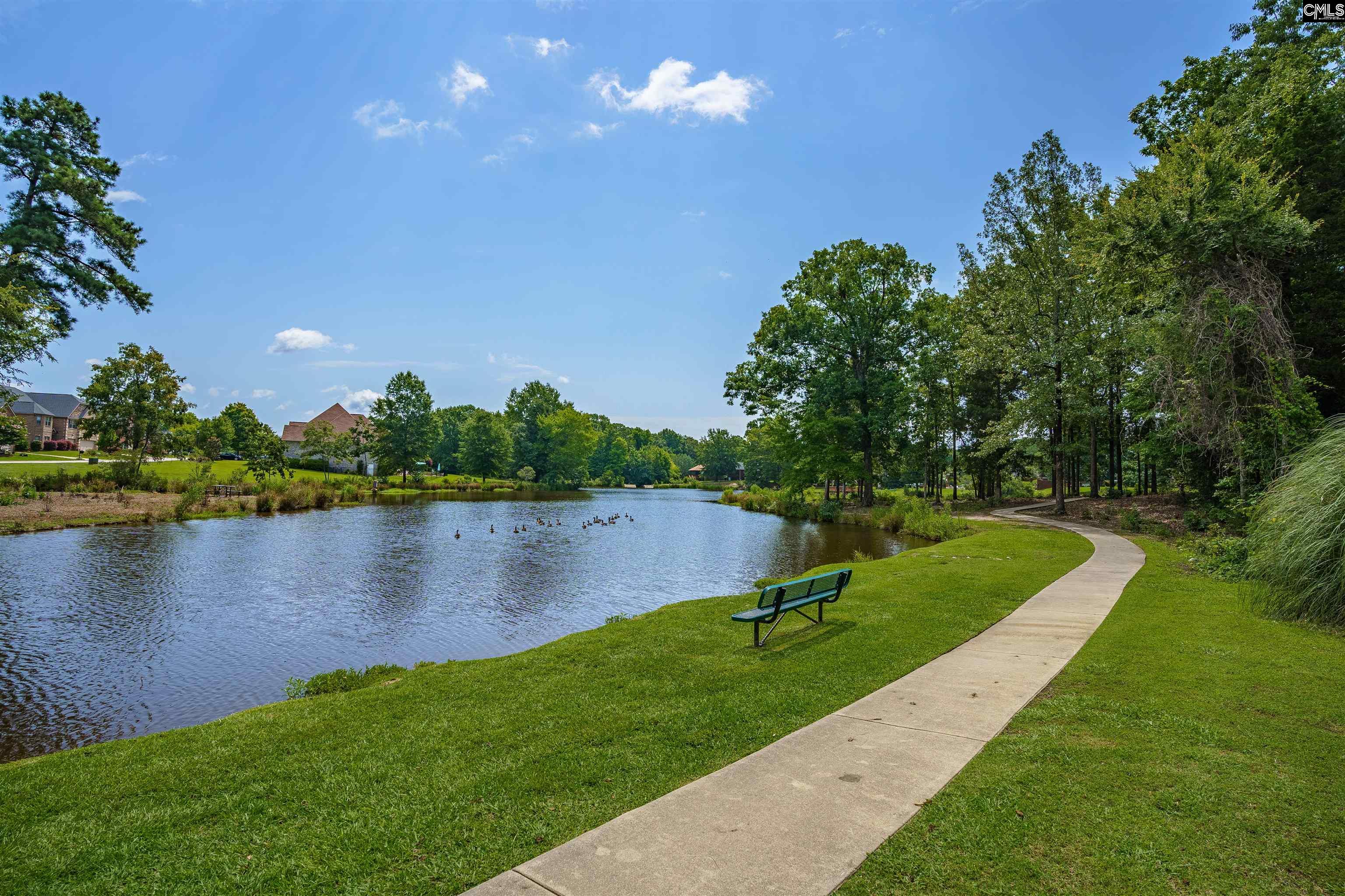 206 Lake Hilton Drive, Chapin, South Carolina image 48