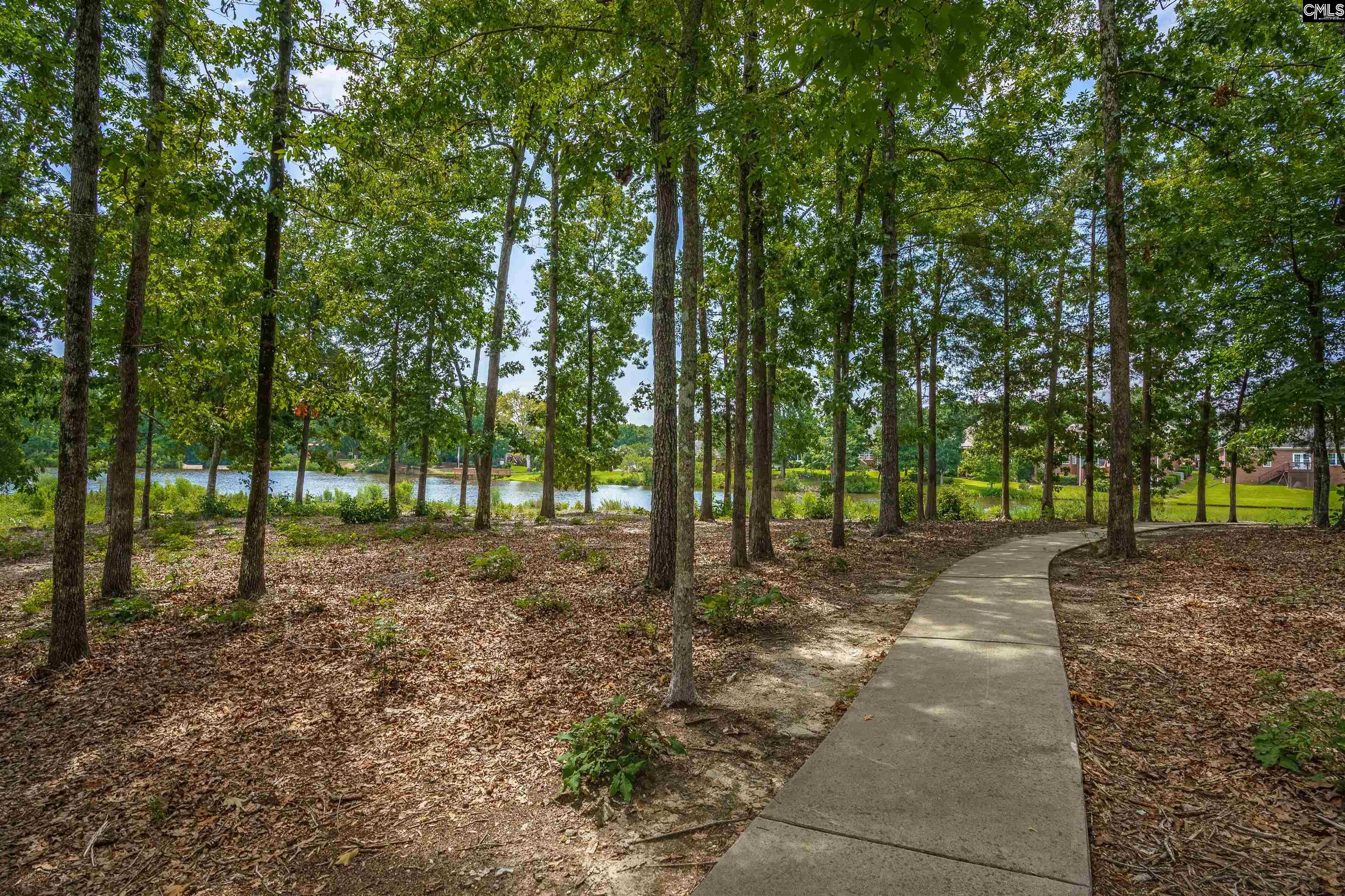 206 Lake Hilton Drive, Chapin, South Carolina image 49