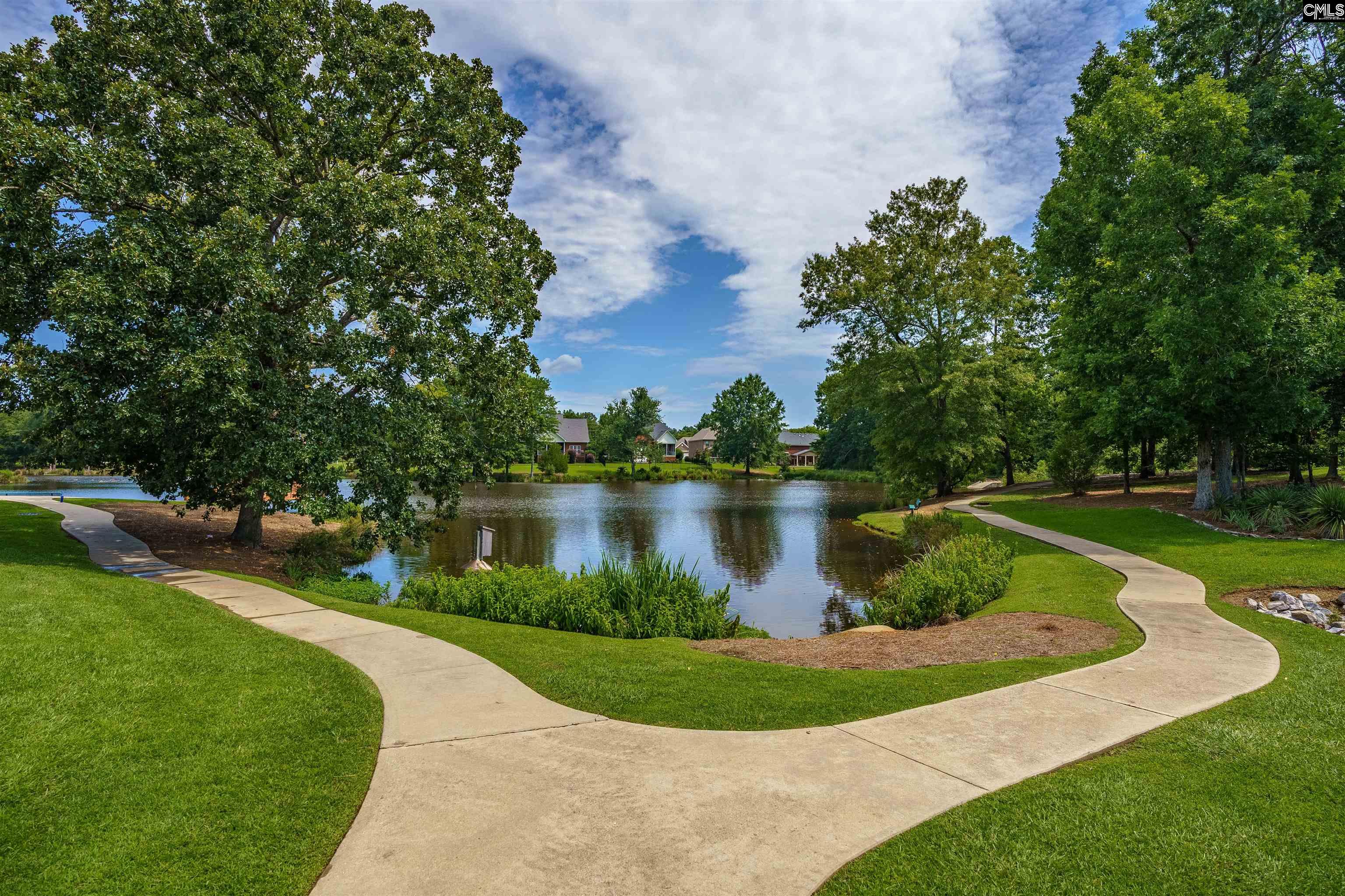 206 Lake Hilton Drive, Chapin, South Carolina image 50