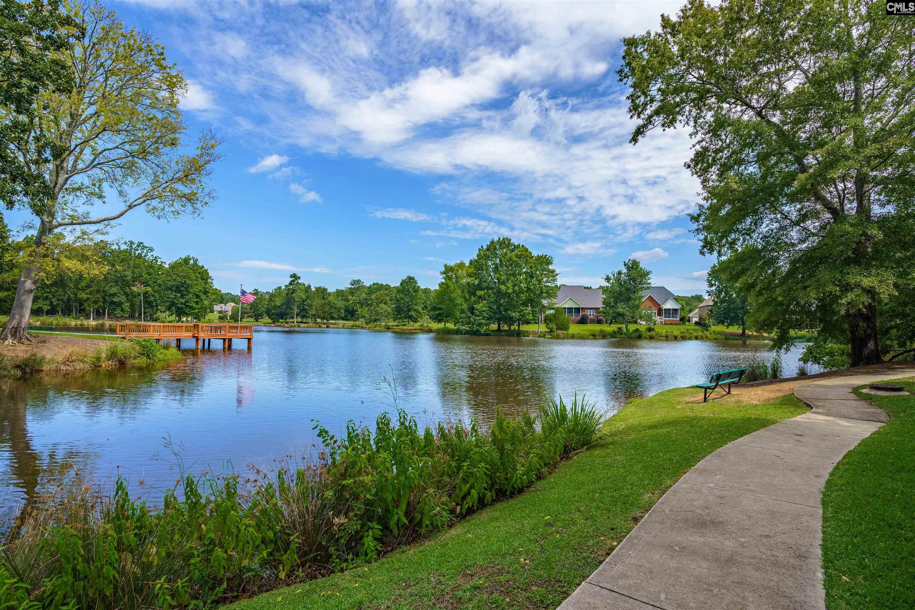 206 Lake Hilton Drive Chapin, SC 29036