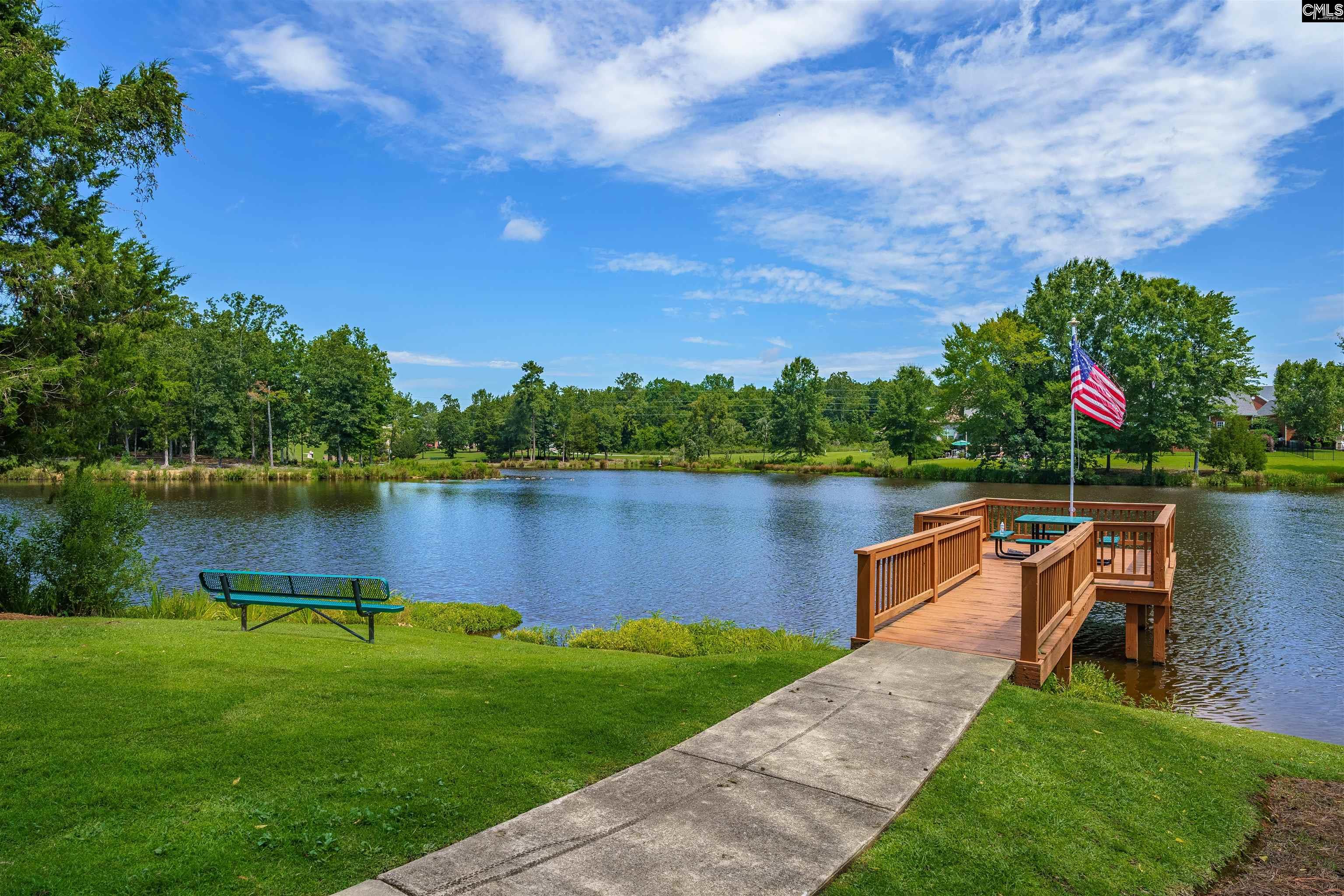 206 Lake Hilton Drive Chapin, SC 29036