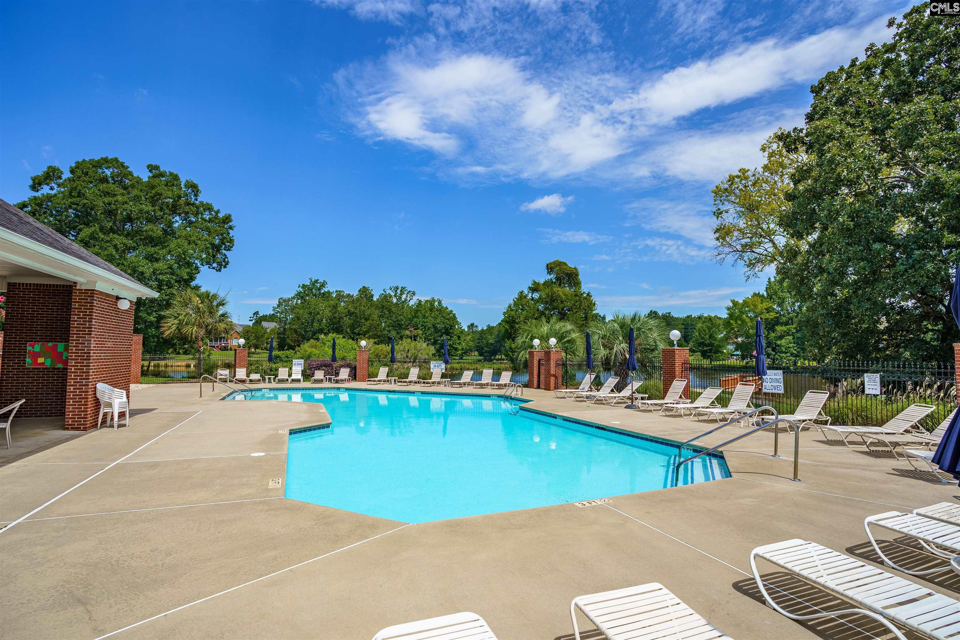 206 Lake Hilton Drive Chapin, SC 29036