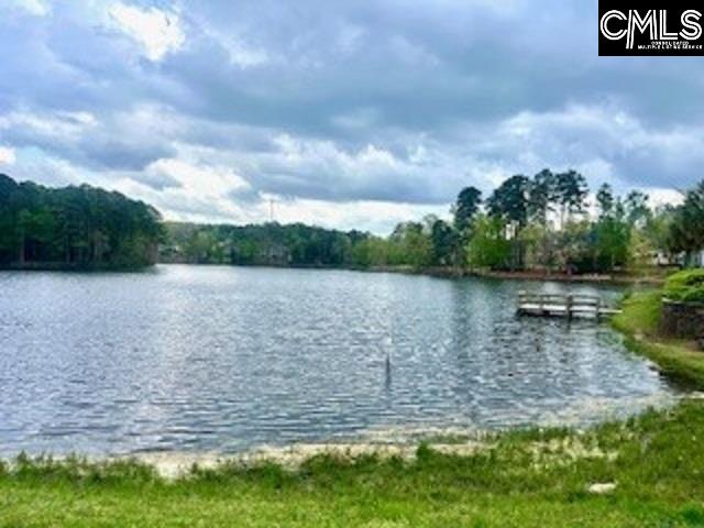 122 Clubside Drive Lexington, SC 29072
