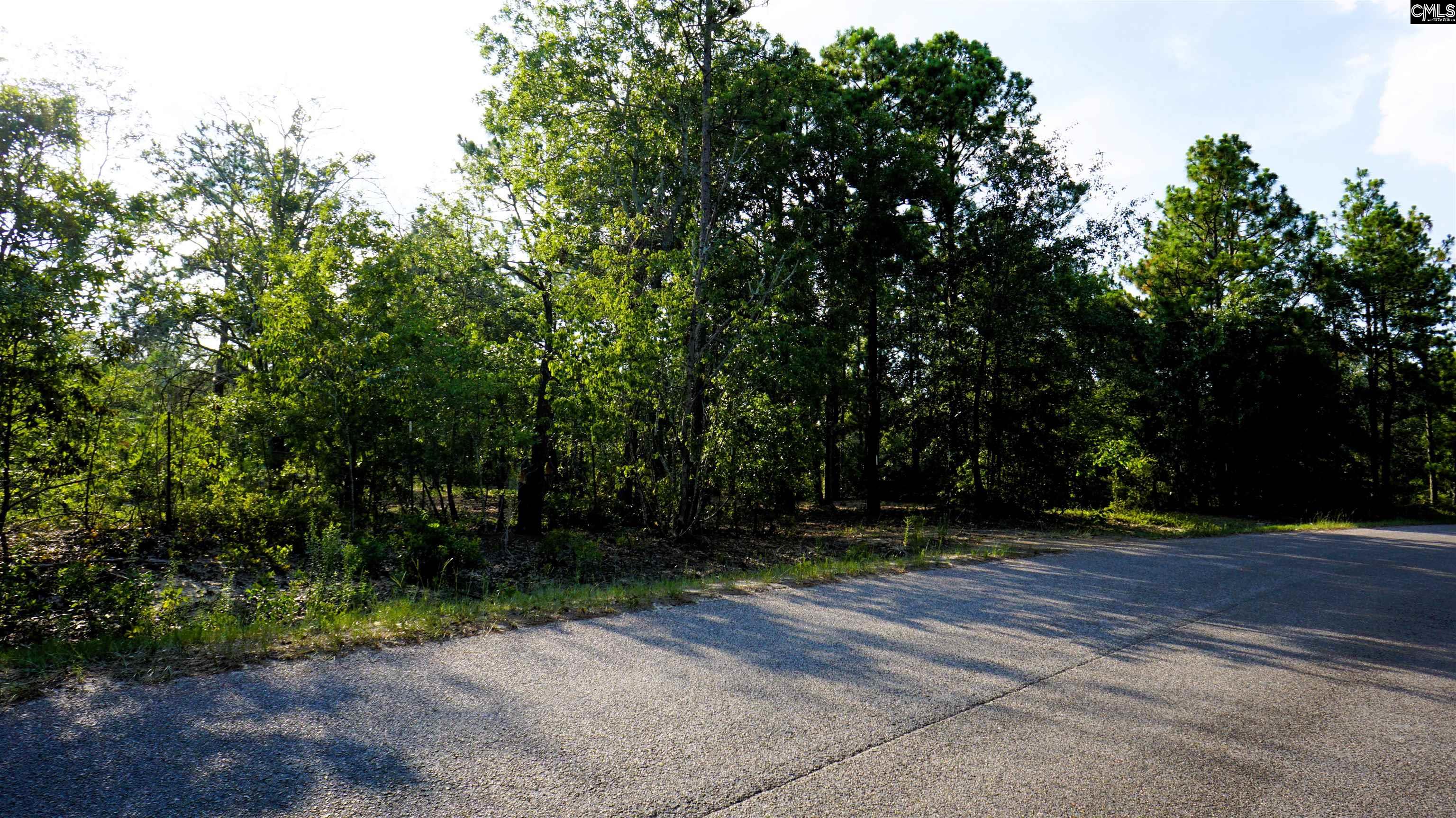 302 Blue Poppy Road, Batesburg, South Carolina image 2