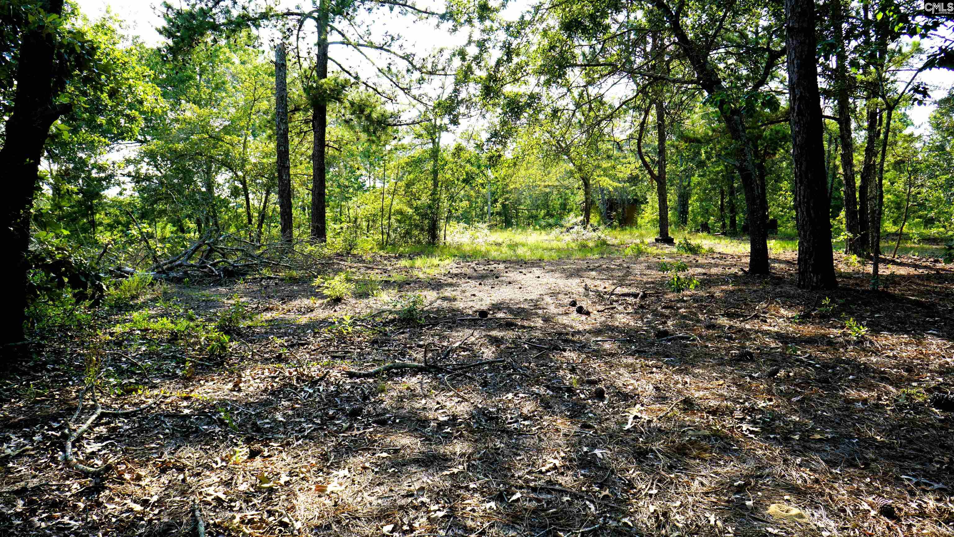 302 Blue Poppy Road, Batesburg, South Carolina image 3