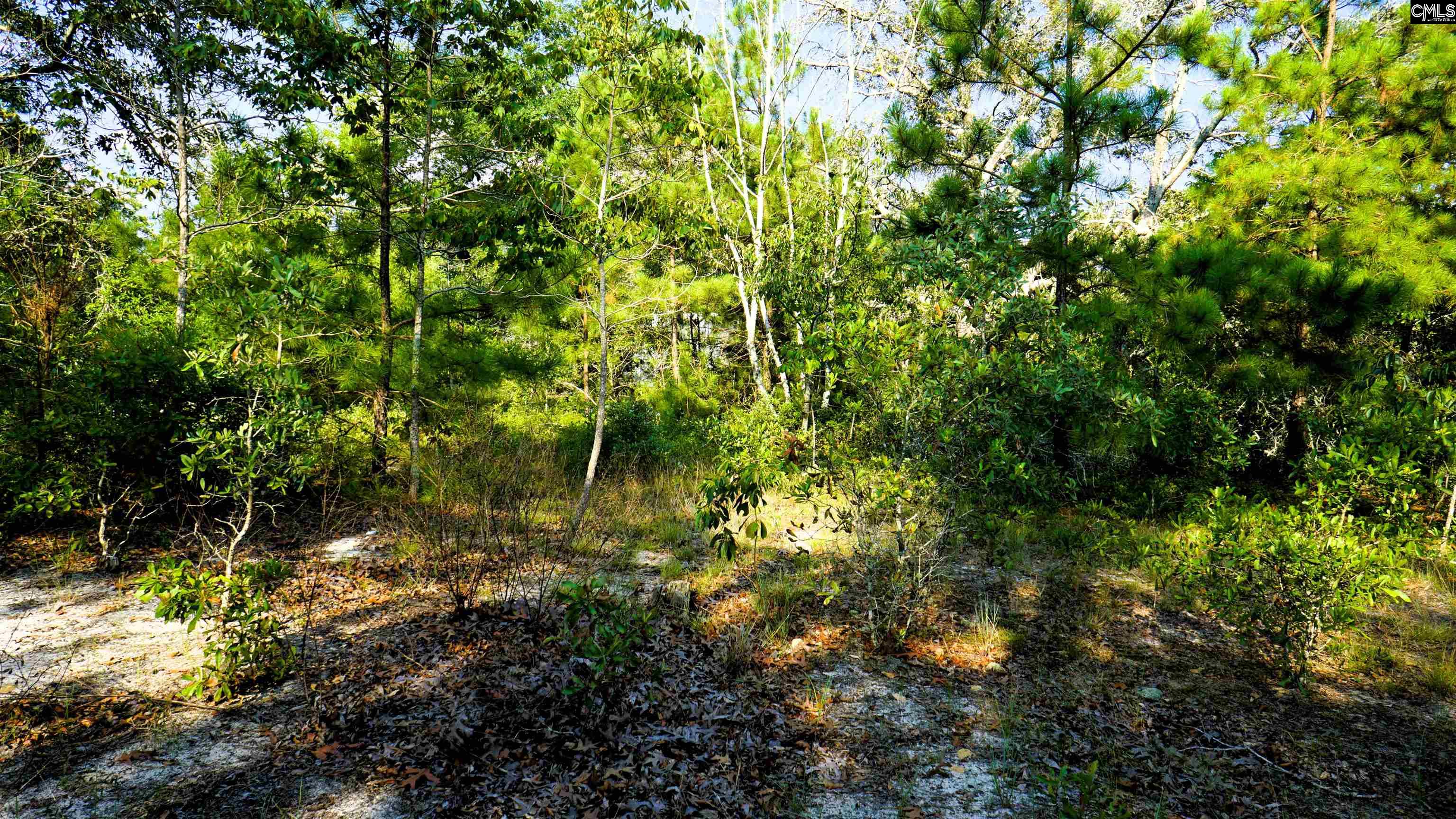 302 Blue Poppy Road, Batesburg, South Carolina image 5