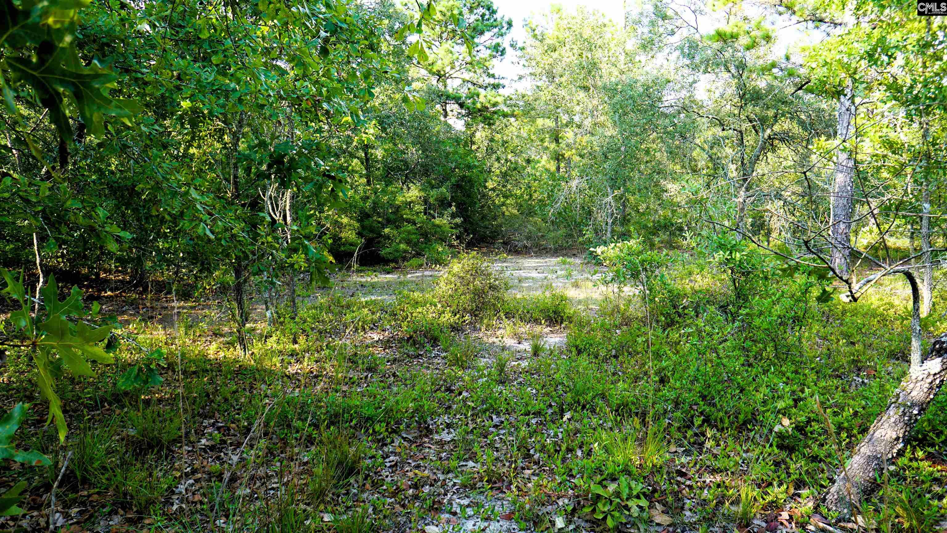 302 Blue Poppy Road, Batesburg, South Carolina image 7