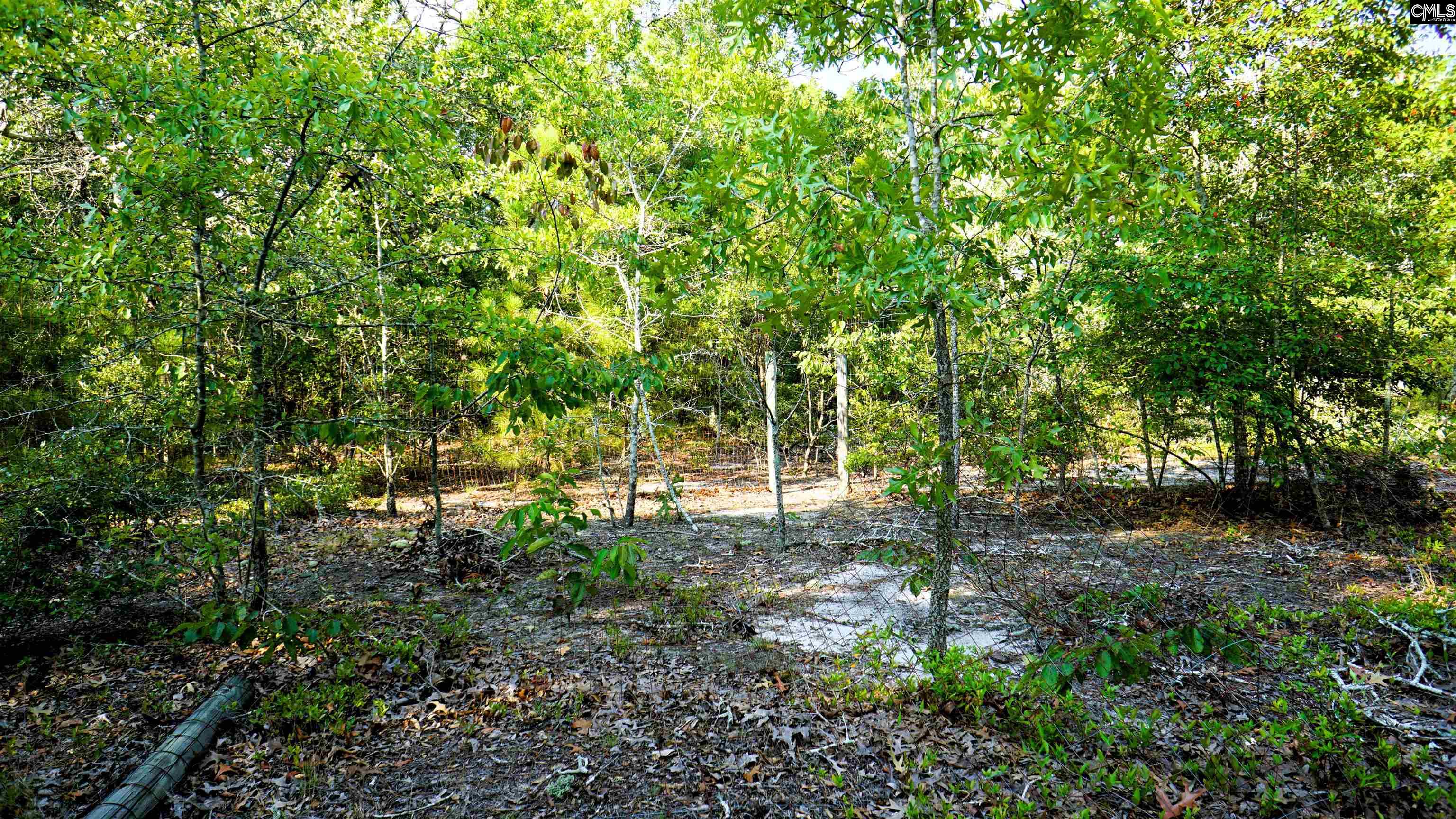 302 Blue Poppy Road, Batesburg, South Carolina image 8