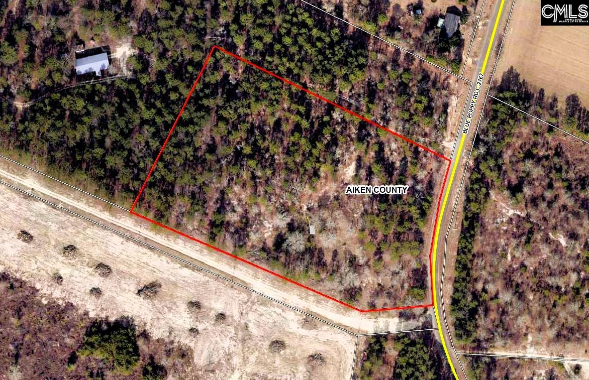302 Blue Poppy Road, Batesburg, South Carolina image 9
