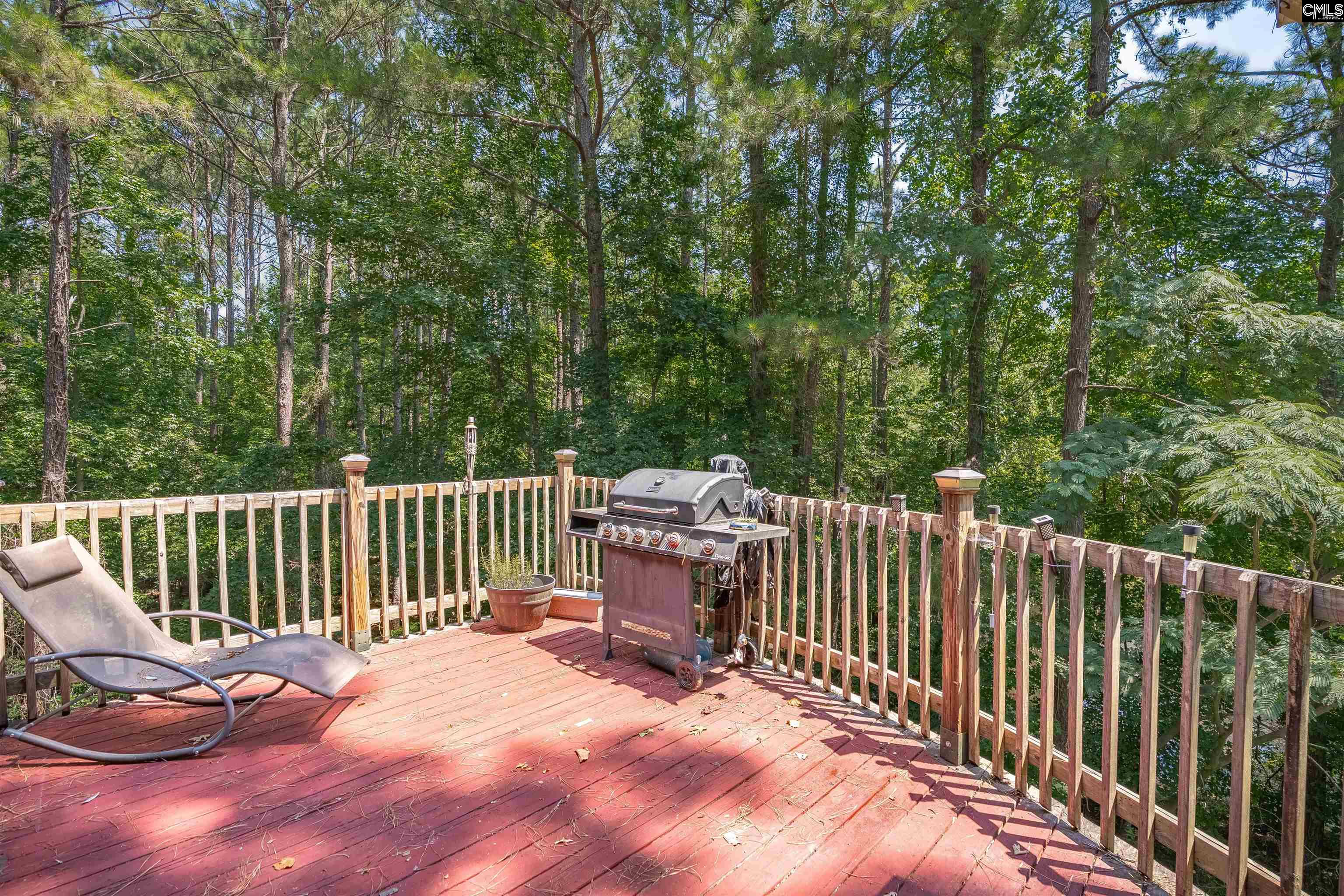 601 Mallard Lakes Drive, Lexington, South Carolina image 37