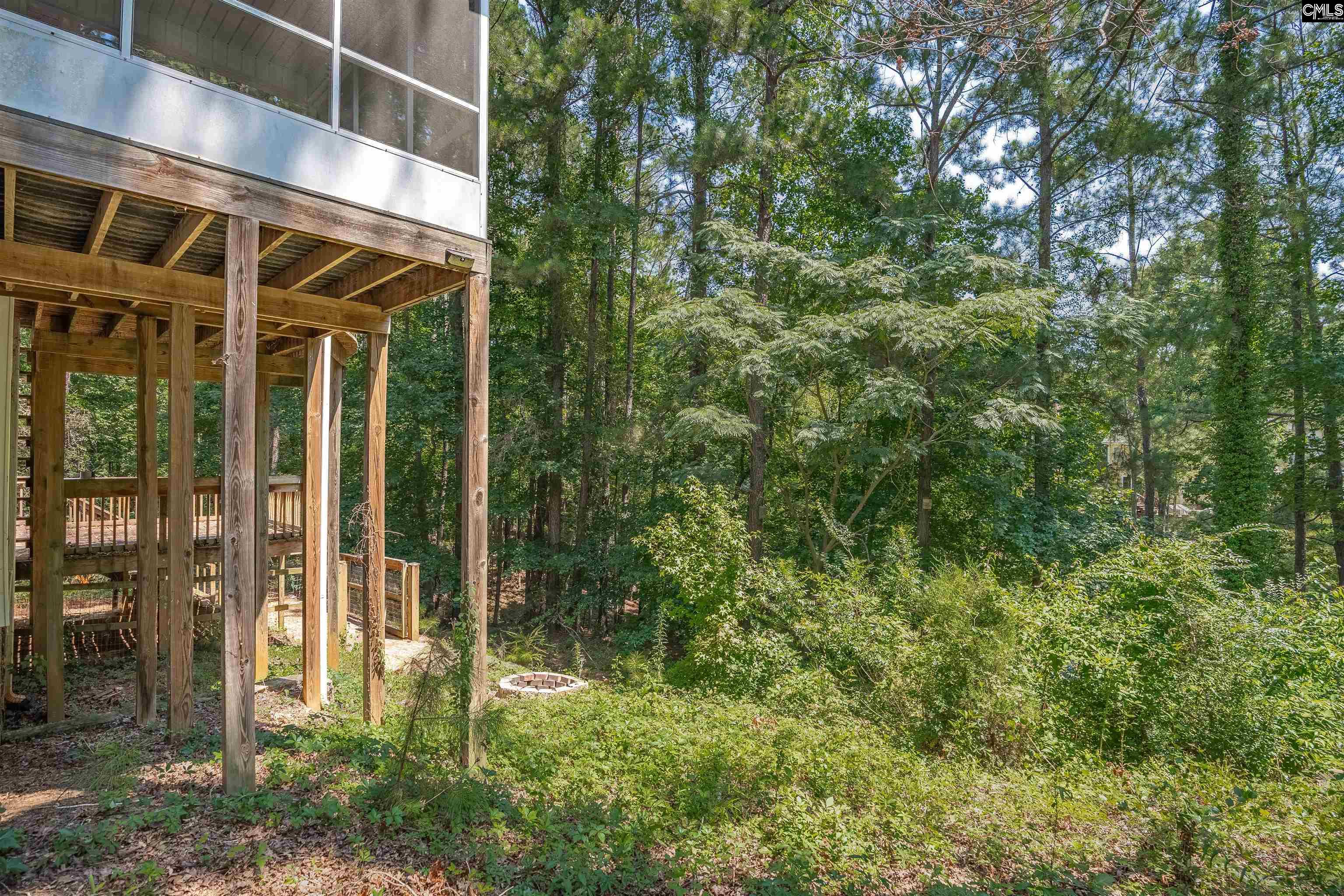601 Mallard Lakes Drive, Lexington, South Carolina image 43