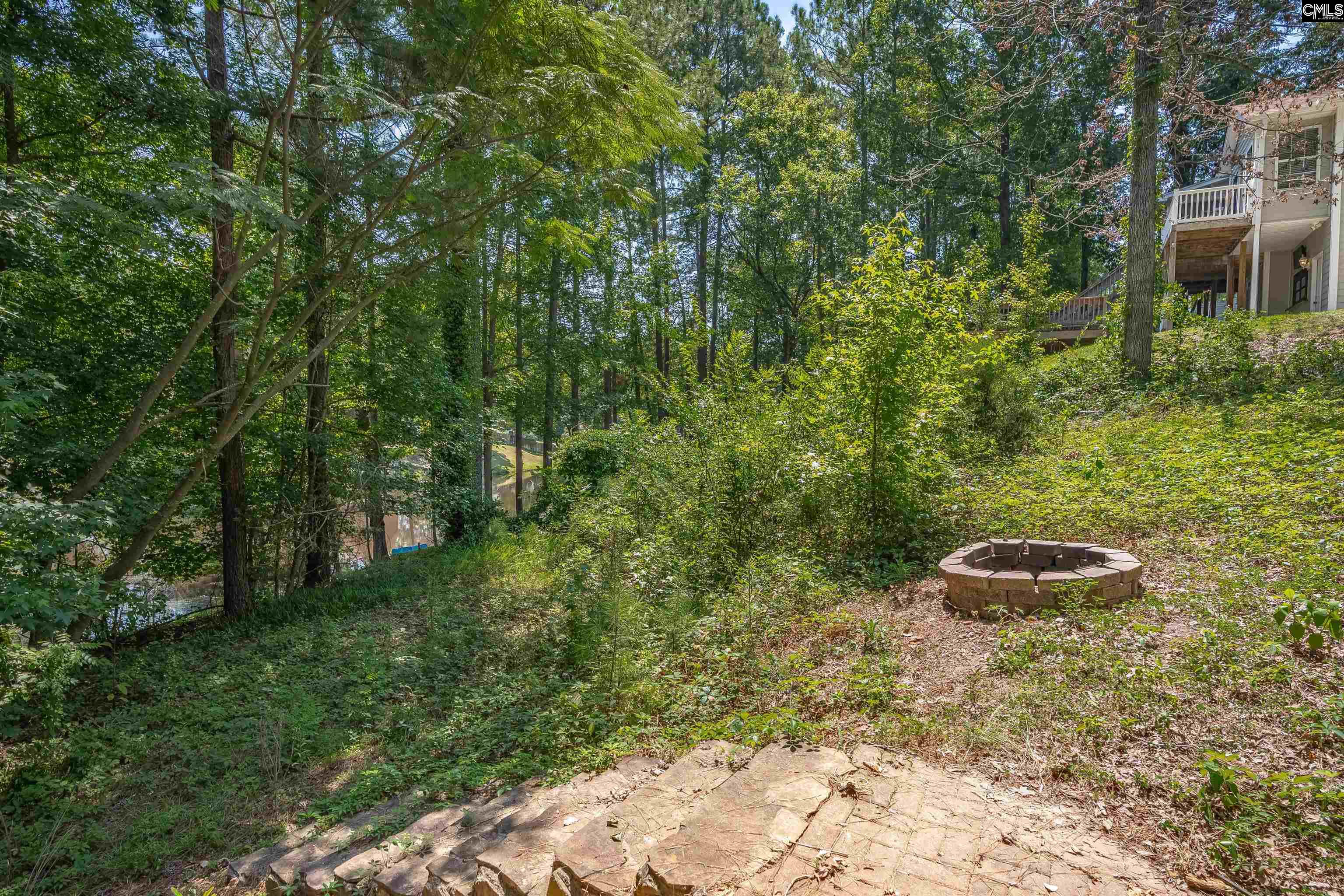 601 Mallard Lakes Drive, Lexington, South Carolina image 47