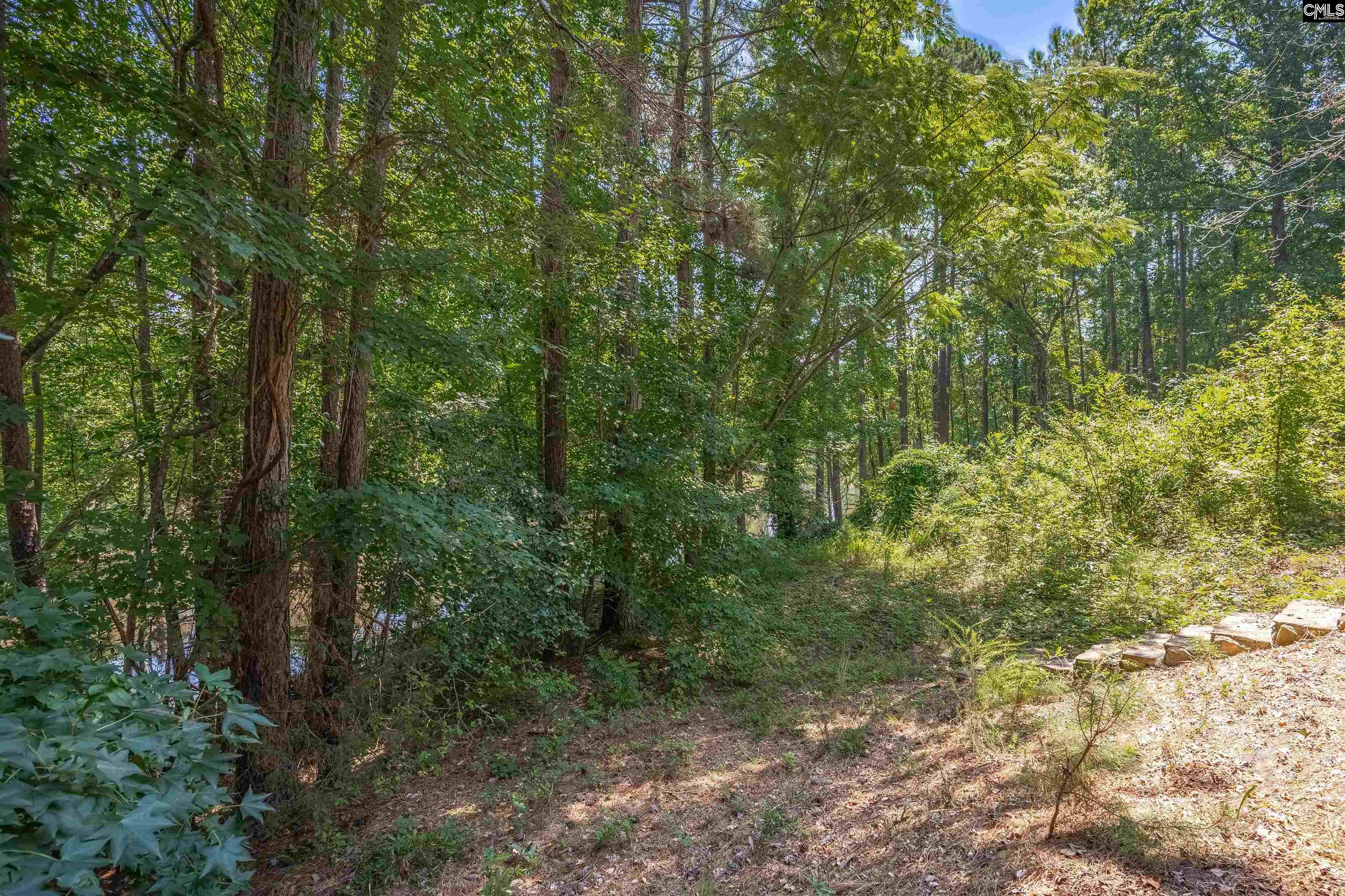 601 Mallard Lakes Drive, Lexington, South Carolina image 48