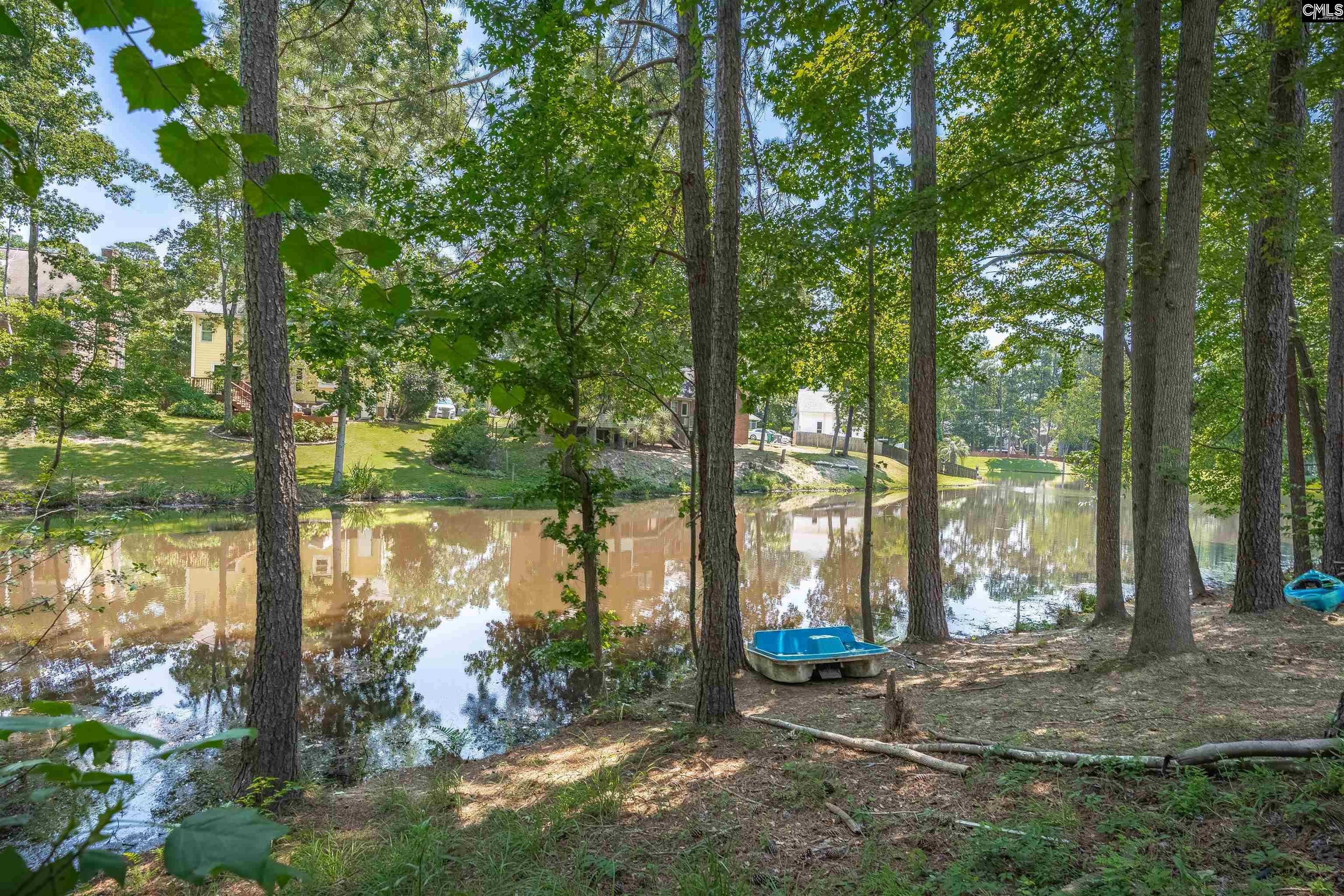 601 Mallard Lakes Drive, Lexington, South Carolina image 49