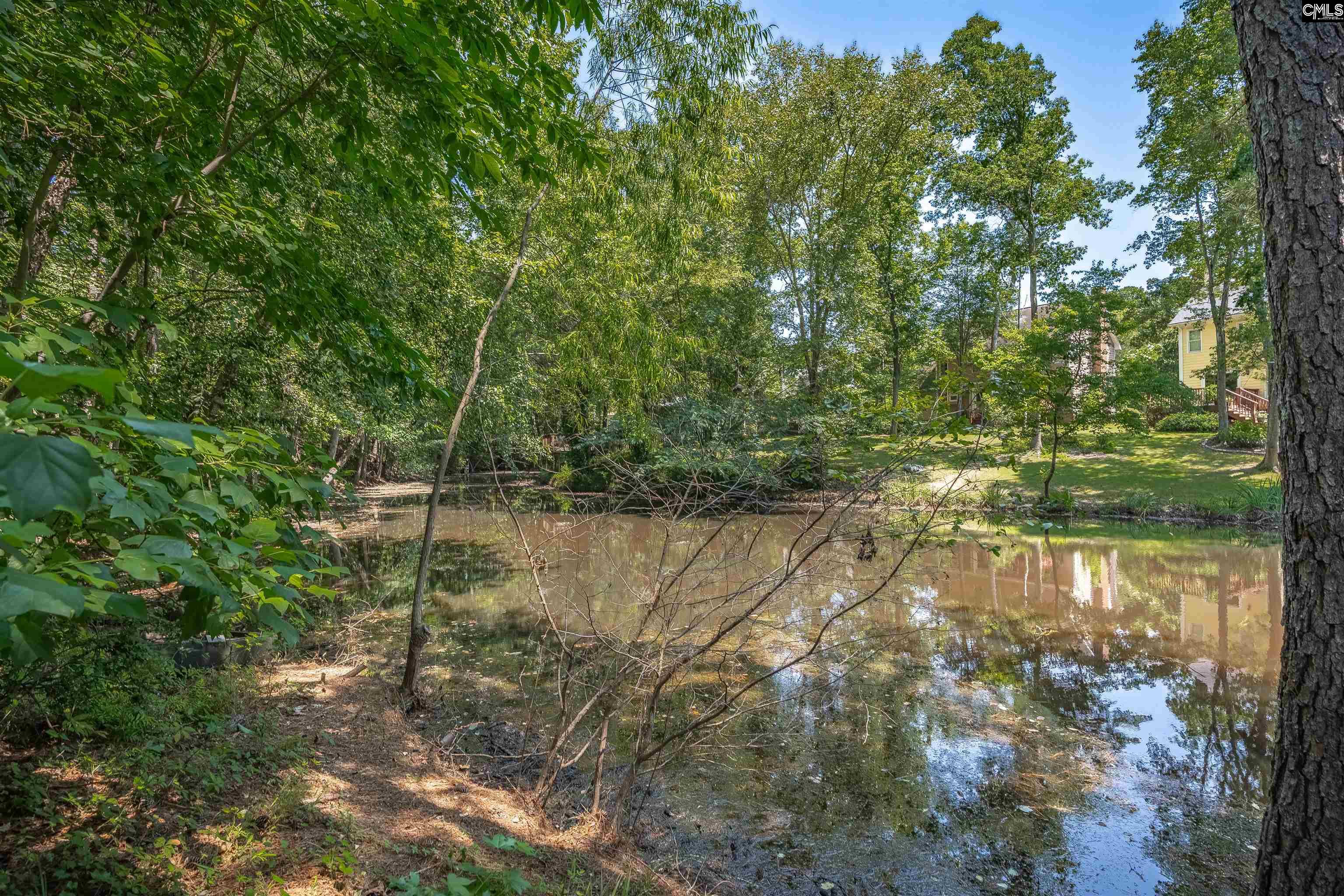 601 Mallard Lakes Drive, Lexington, South Carolina image 50