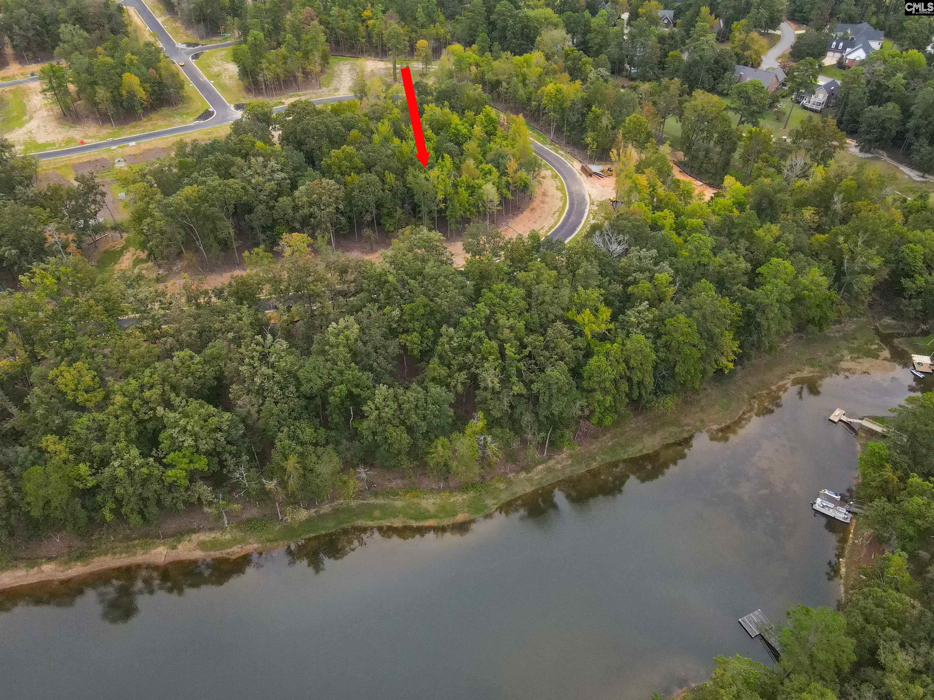 1064 Refuge Pl, Chapin, South Carolina image 3