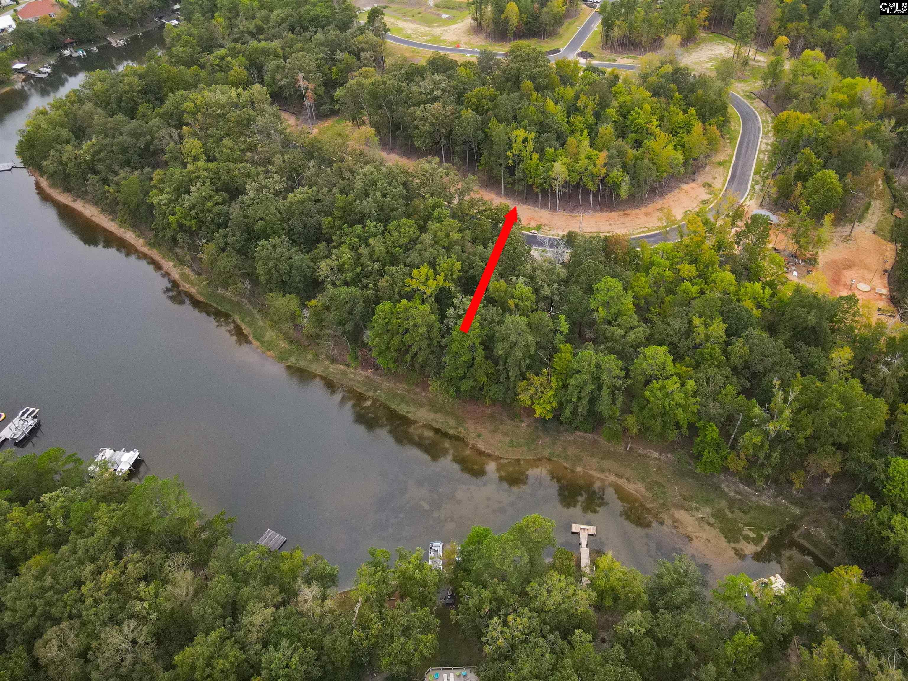 1064 Refuge Pl, Chapin, South Carolina image 4